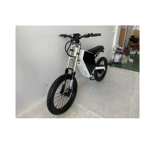 Daniel's Enduro Ebike