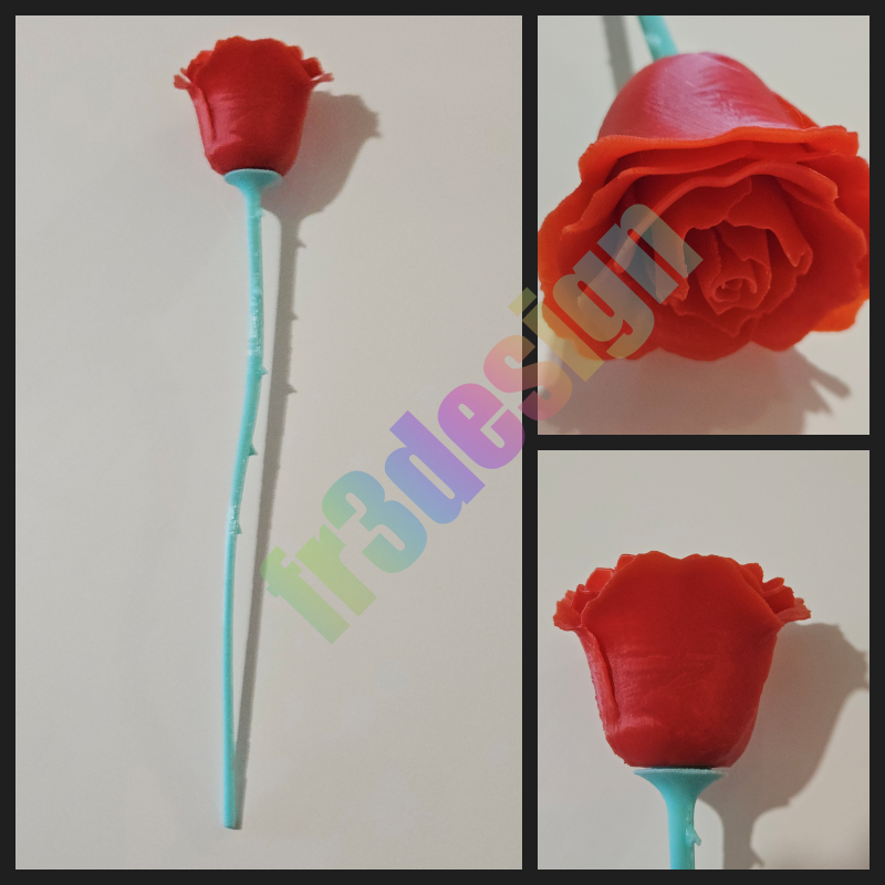 Rose rouge 3D