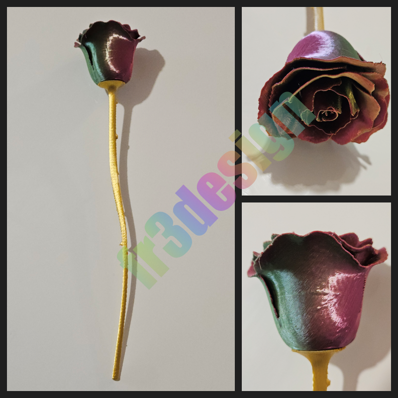 Rose métallique multicolore