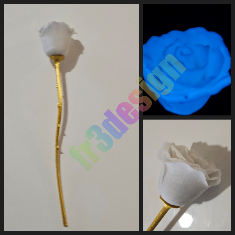 rose blanche phosphorescente