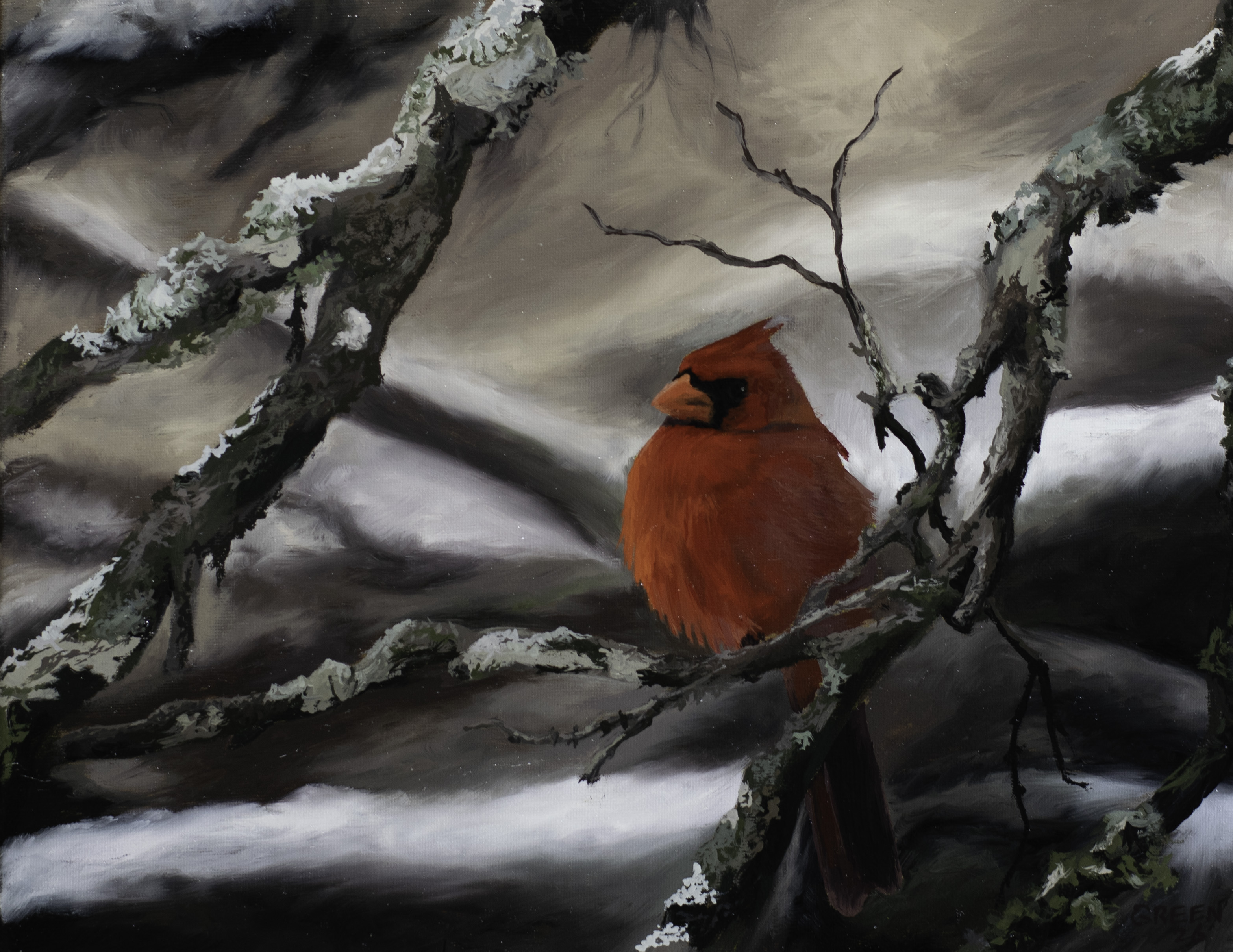 Winter Cardinal Art Print