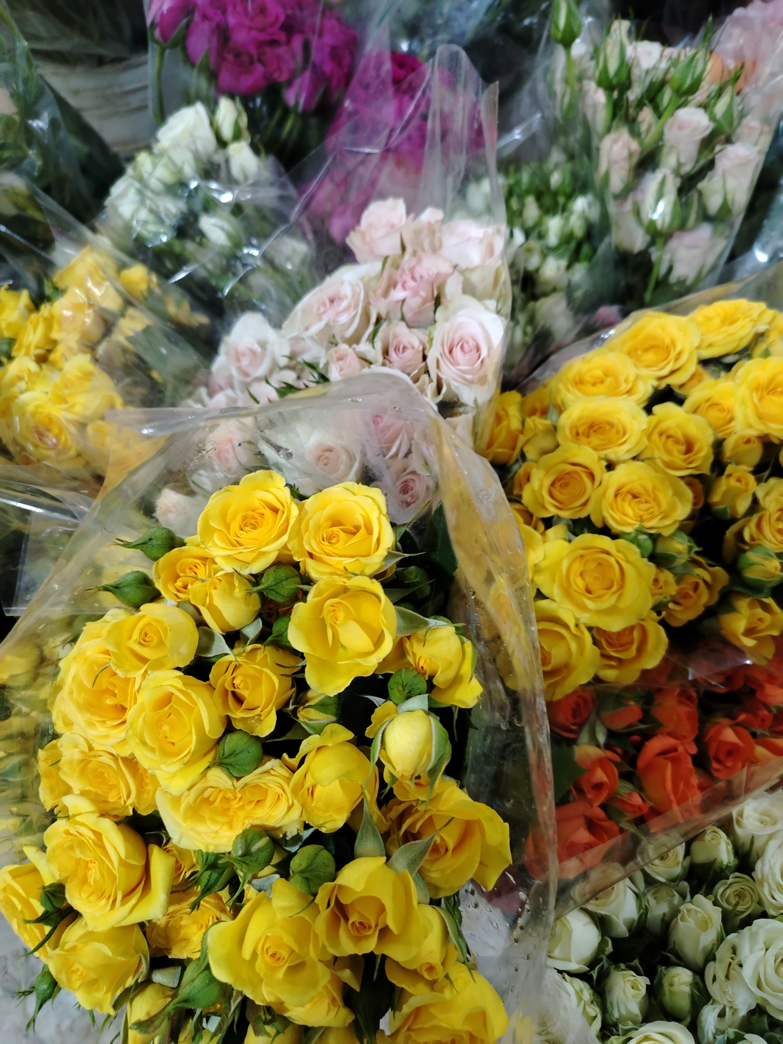 Ramo de Rosas Variadas