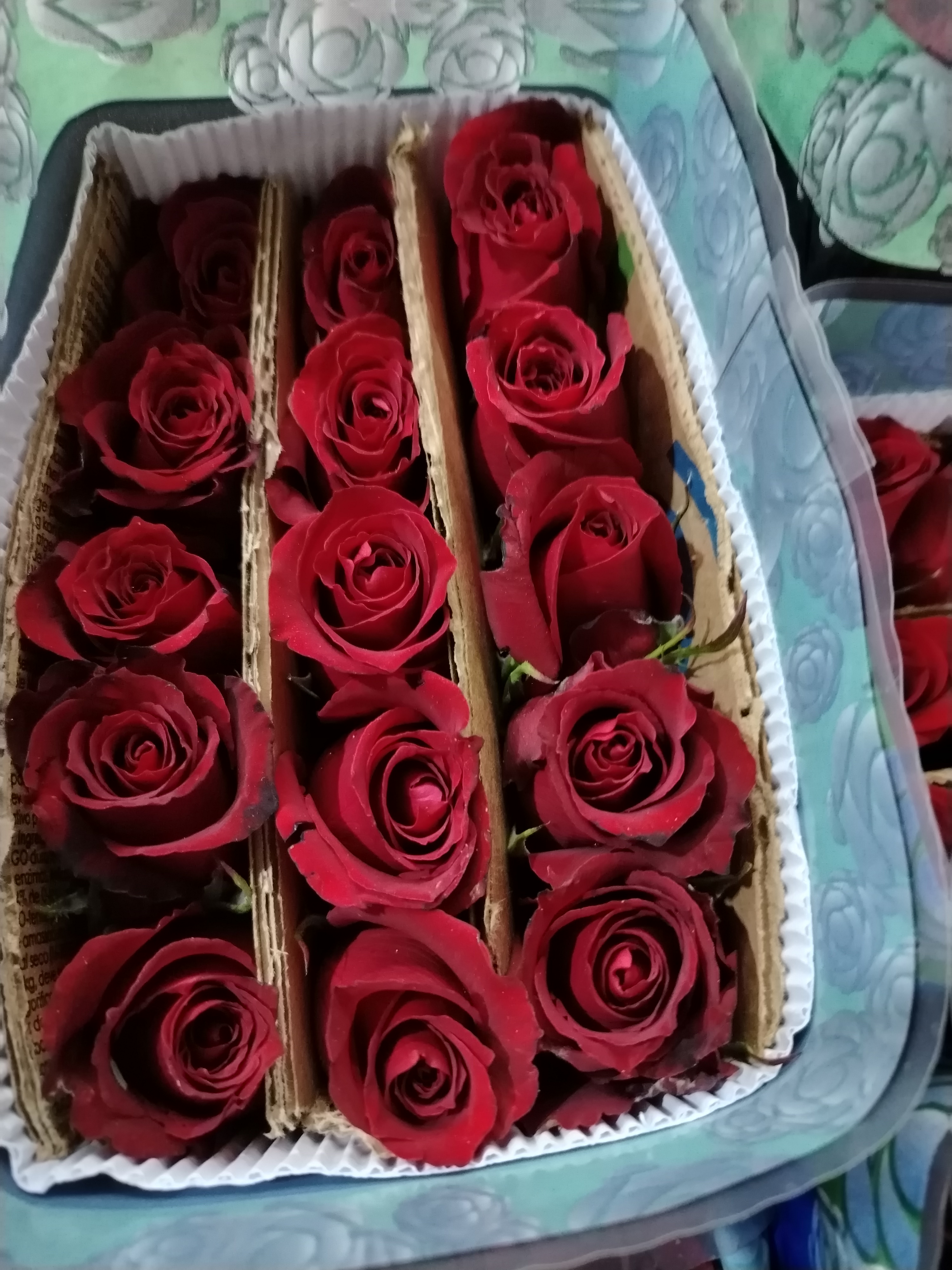 Caja de Rosas Rojas