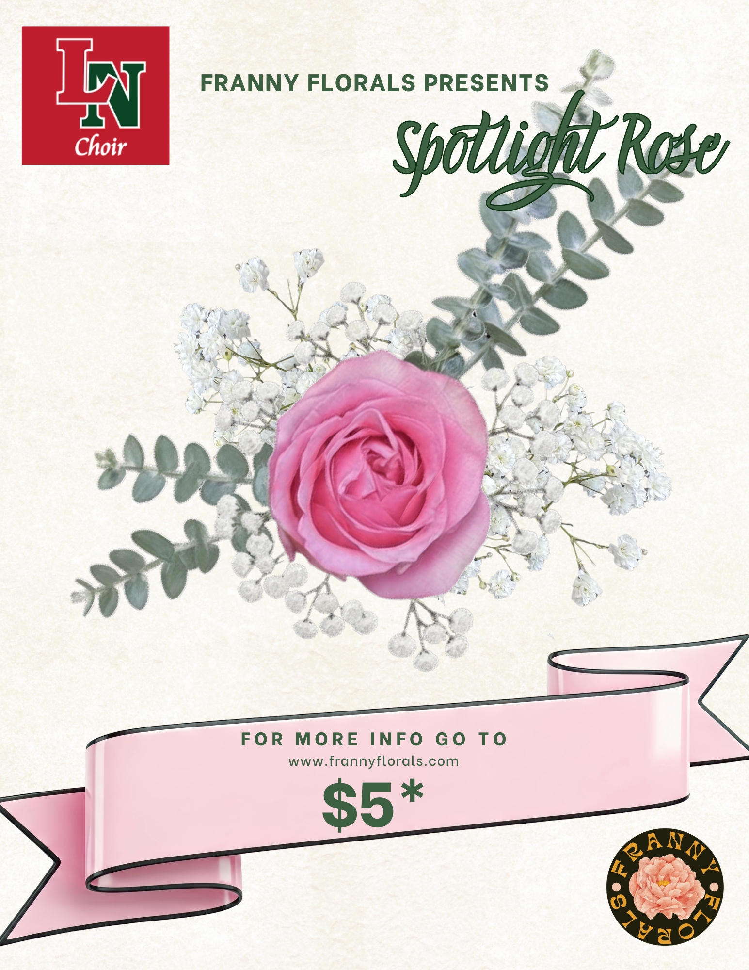 Spotlight Rose