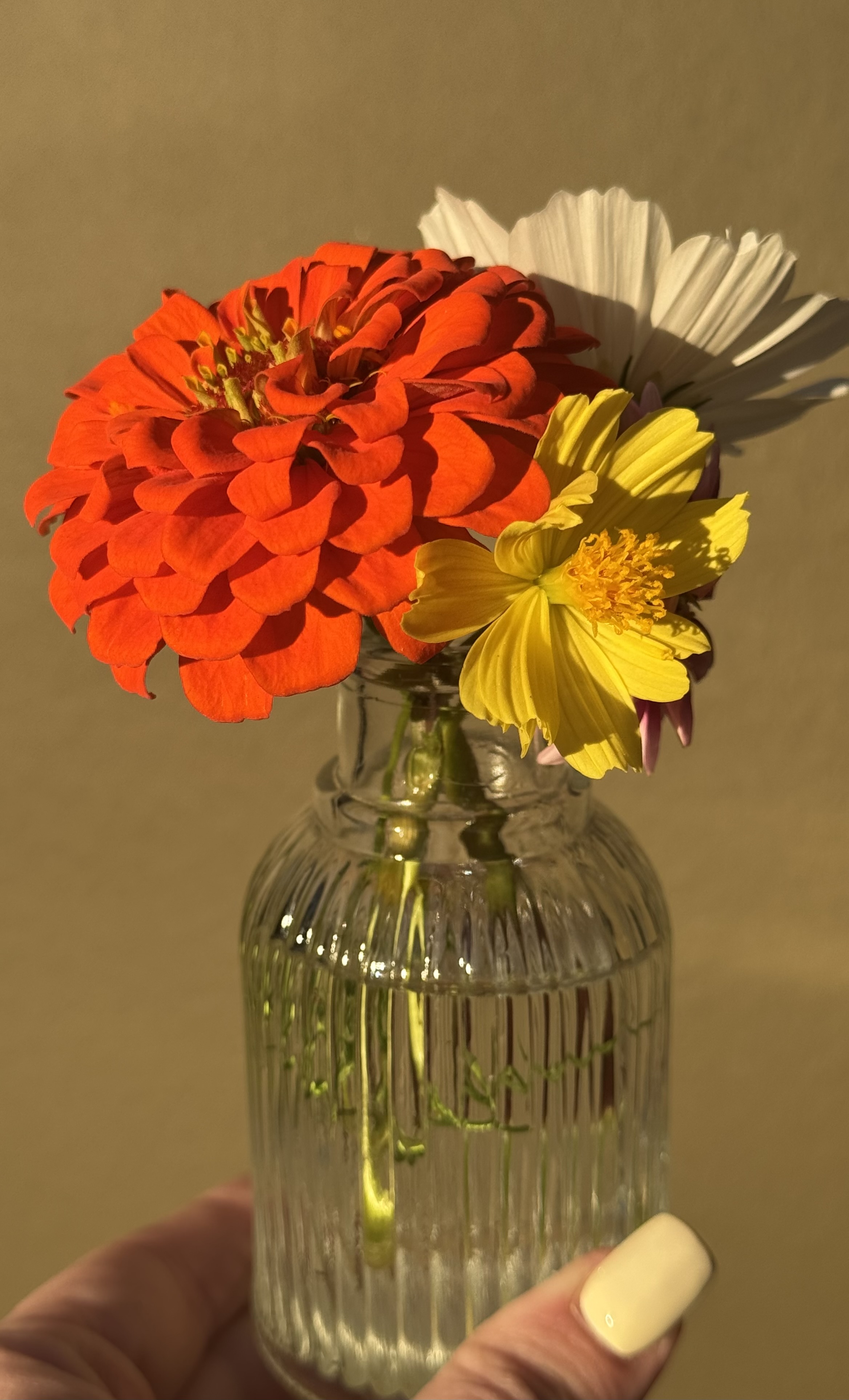Micro Farm Bud Bouquet