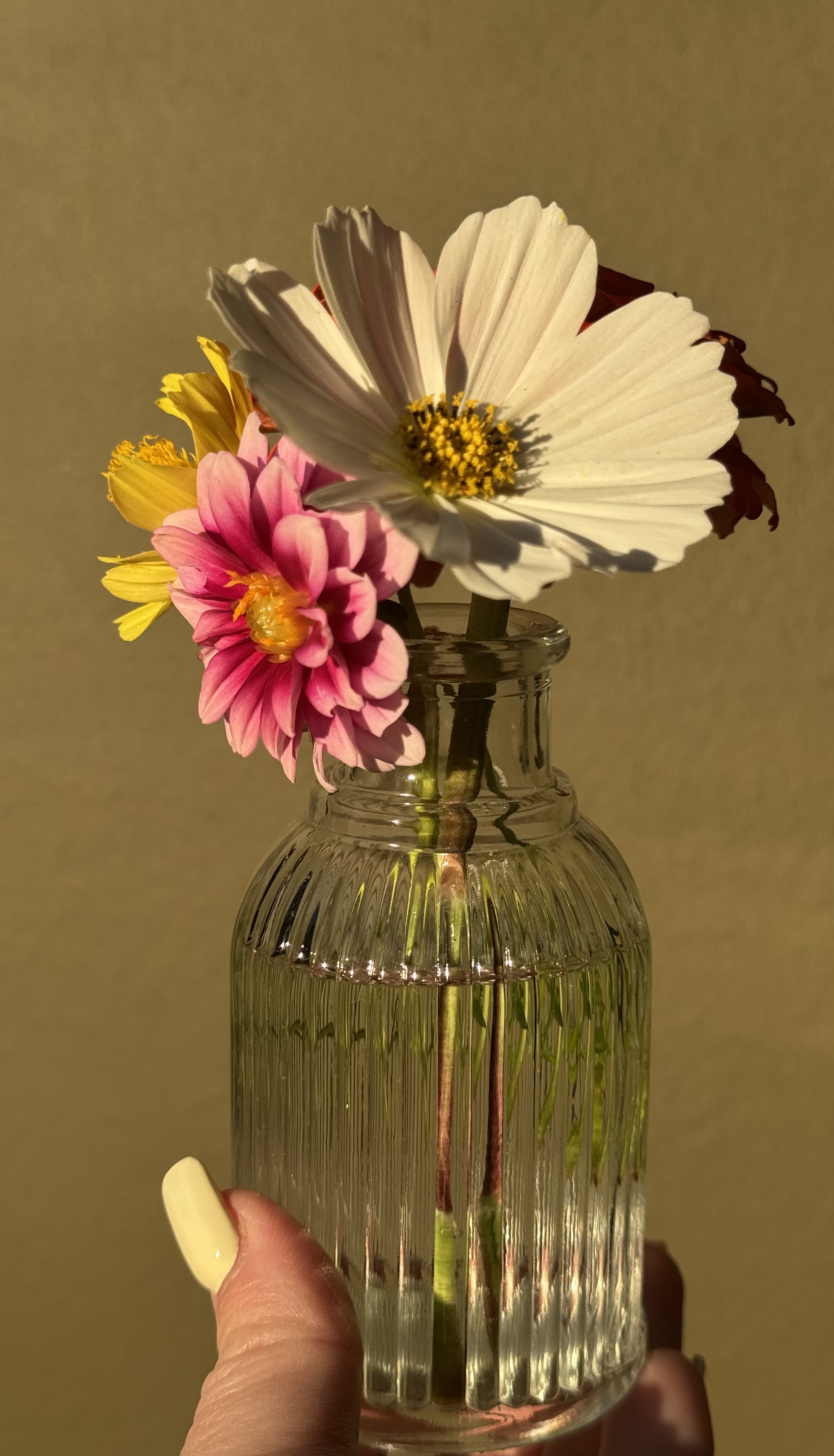 Micro Farm Bud Bouquet