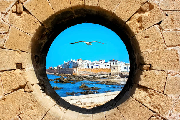Private Day Trip to Essaouira
