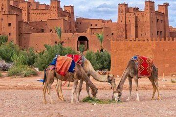 From Marrakech: Excursion to Kasbah Ait Ben Haddou / Private