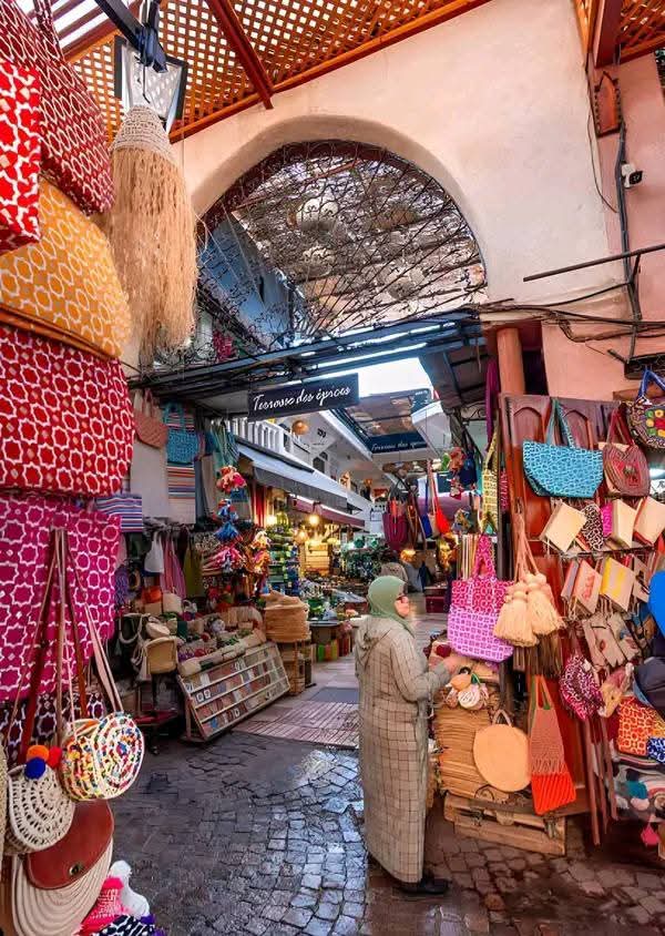 Marrakech: Historical Monuments,  Souks & Medina Guided Tour / Private