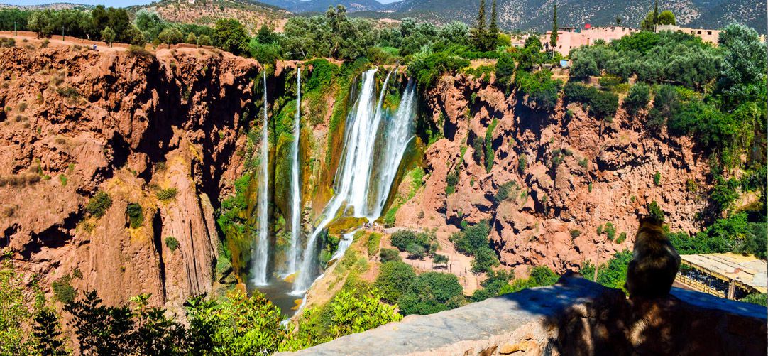From Marrakech: Guided Hike and Boat Excursion at the Ouzoud Waterfalls / Private