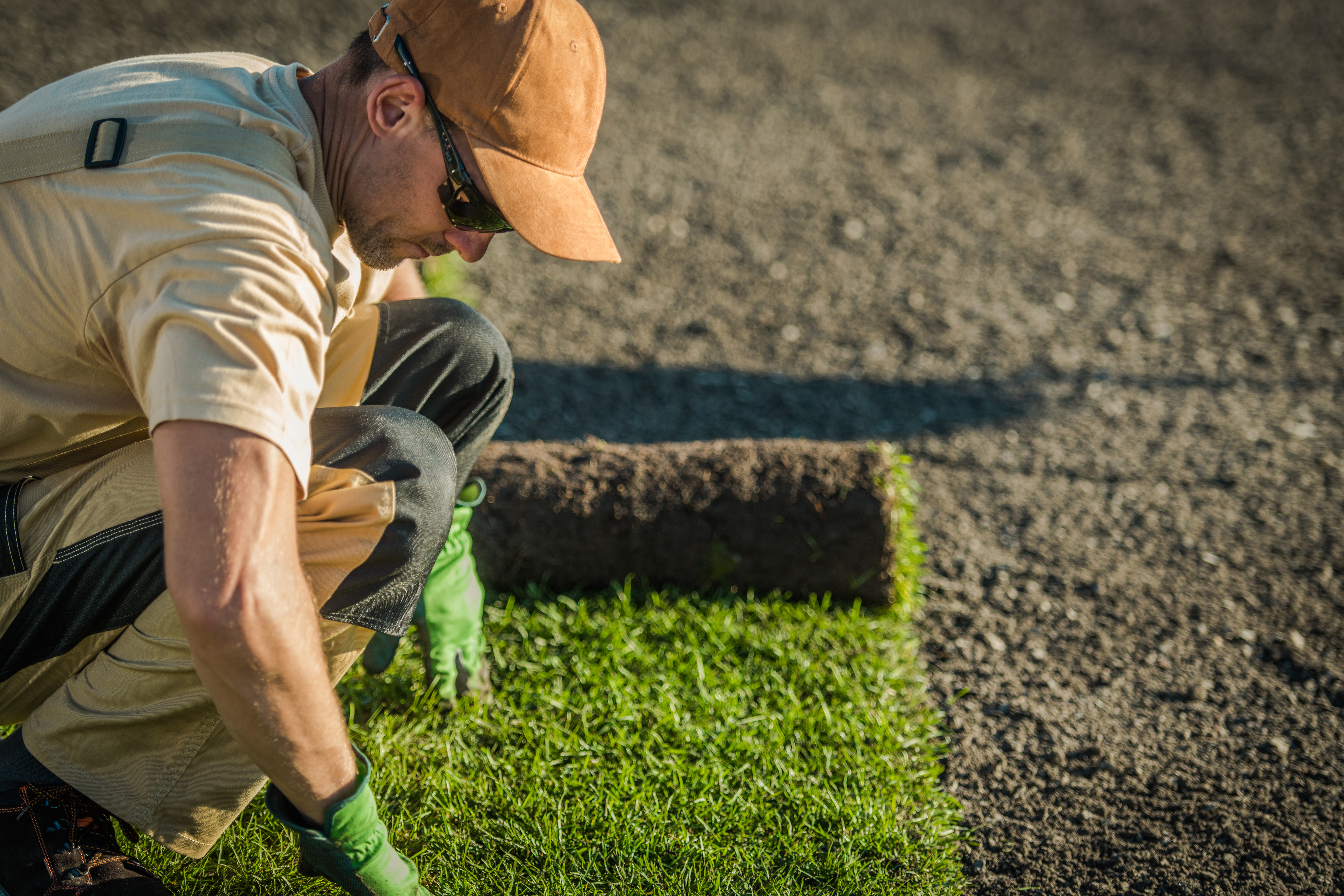 Césped Natural en Rollo