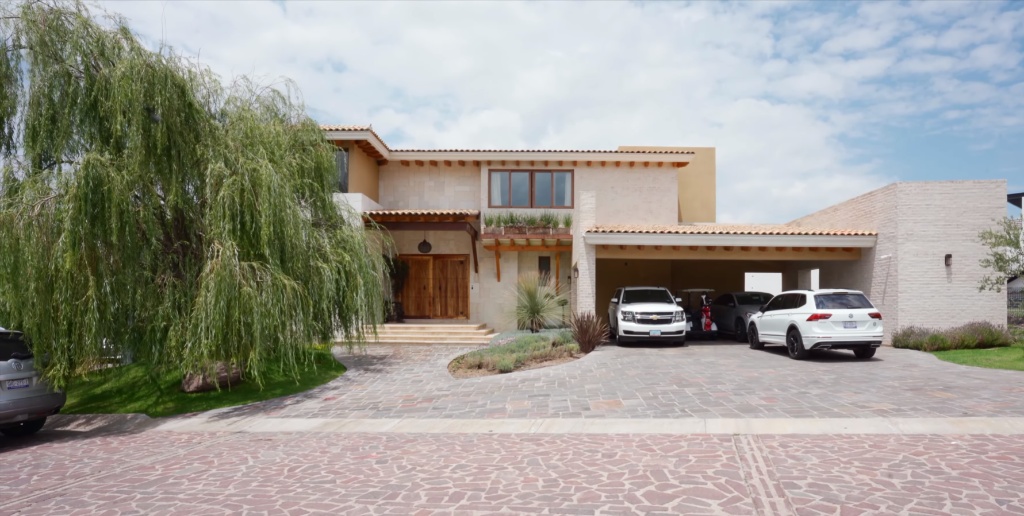 Sauce Llorón (Salix babylonica):