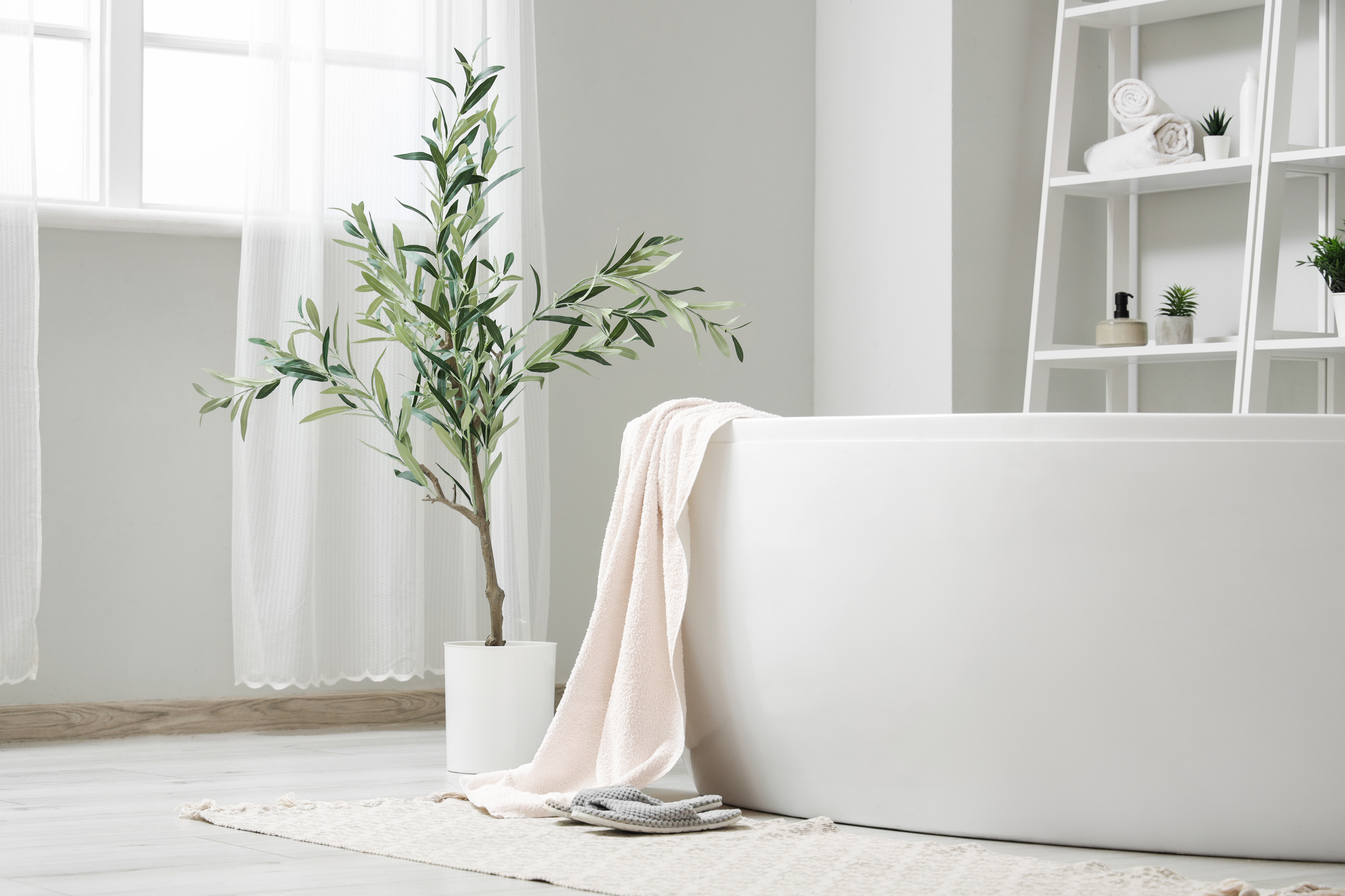 Arbol de olivo Natural hasta 1.2 m