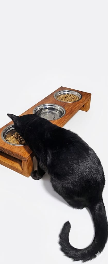 Comedero elevado para gatos