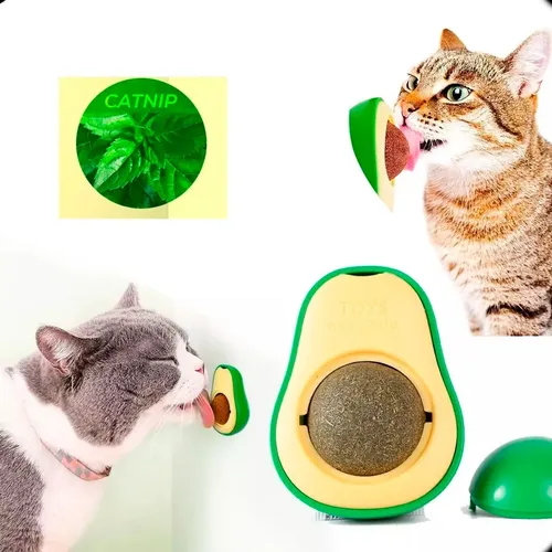 Hierba Catnip para gatos