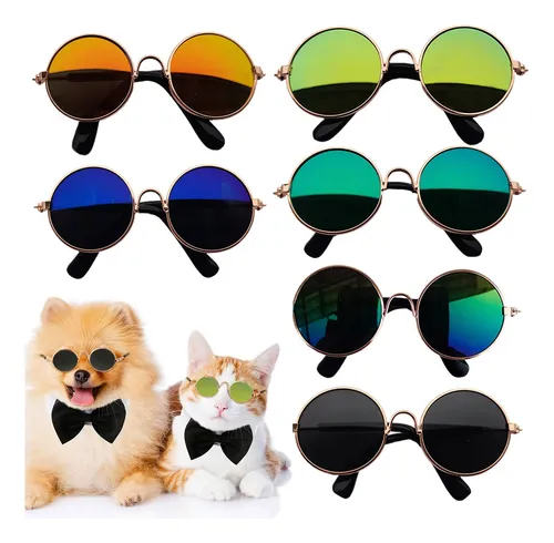 Gafas de sol para mascotas