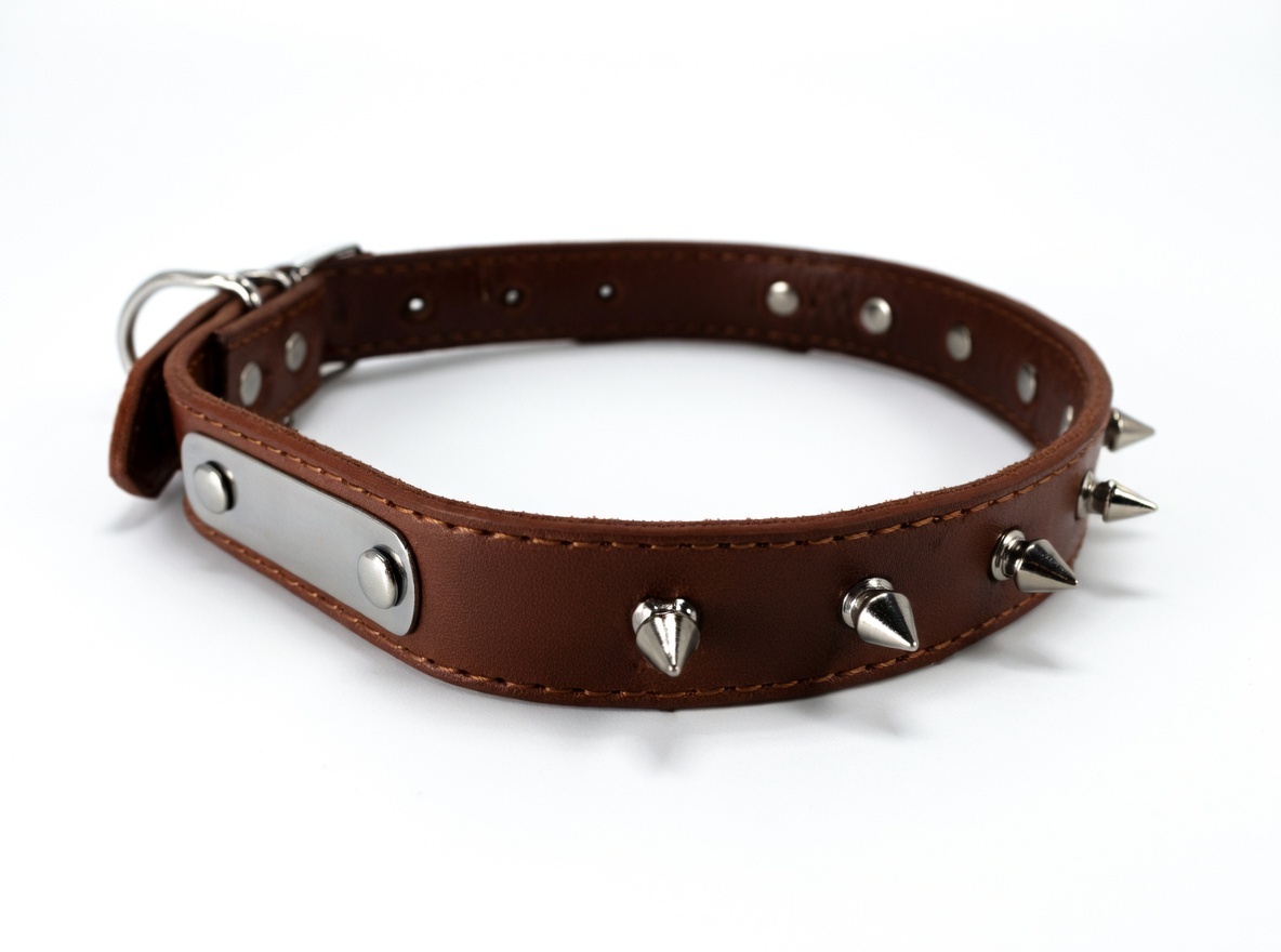 Collar de cuero con púas