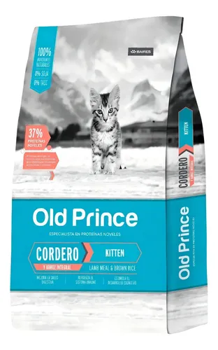 Old Prince Cordero Kitten