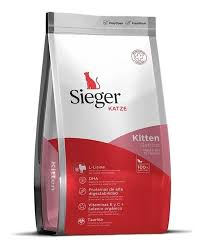 Sieger Katze Kitten