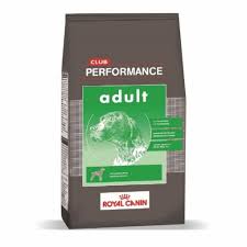 Royal Canin Performance Adulto