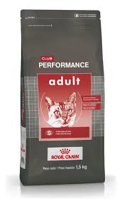 Royal Canin Adult Performance Gato 