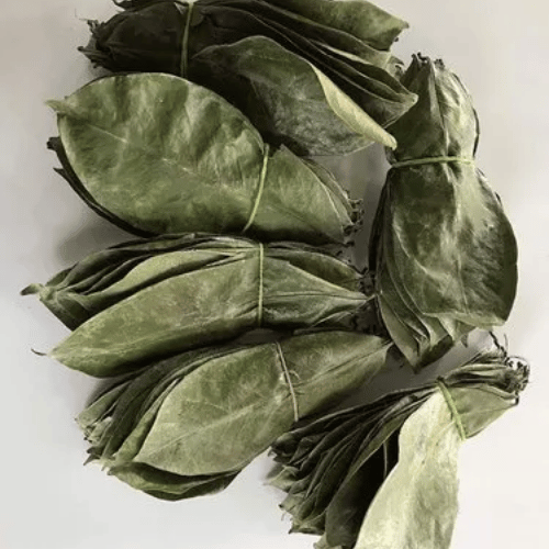 Soursop Leaves, Natural Graviola Tea leaves, Dried Annona Muricata leaves, Select Amount