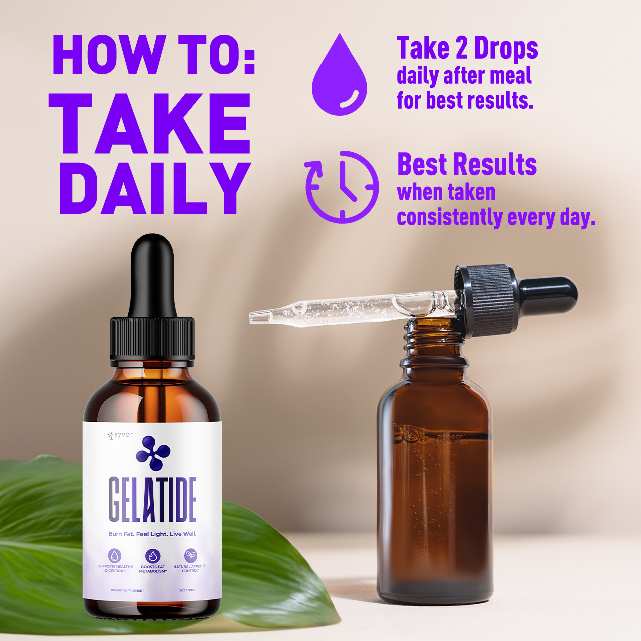 Gelatide Drops Official Website 2026