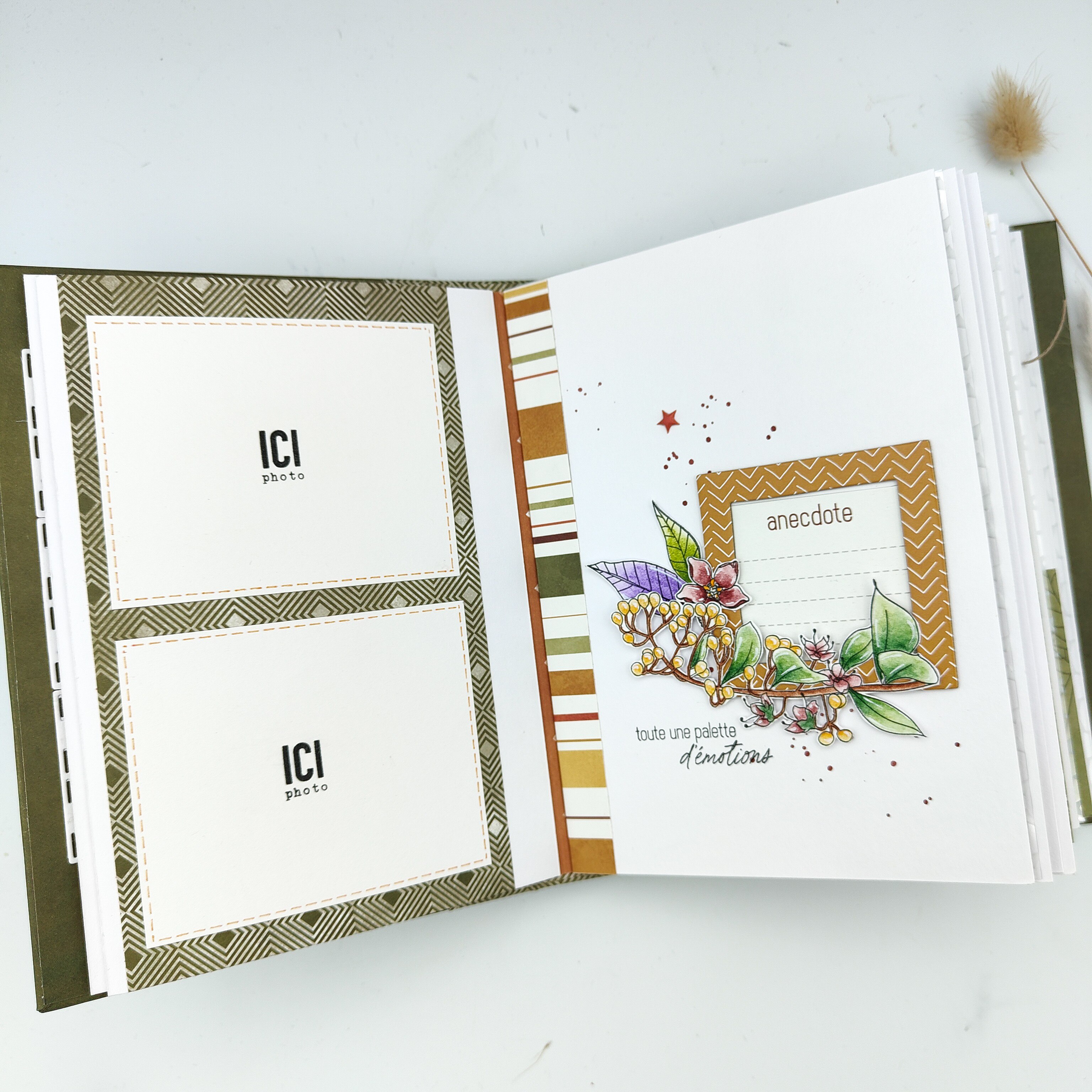 Album Echappée belle