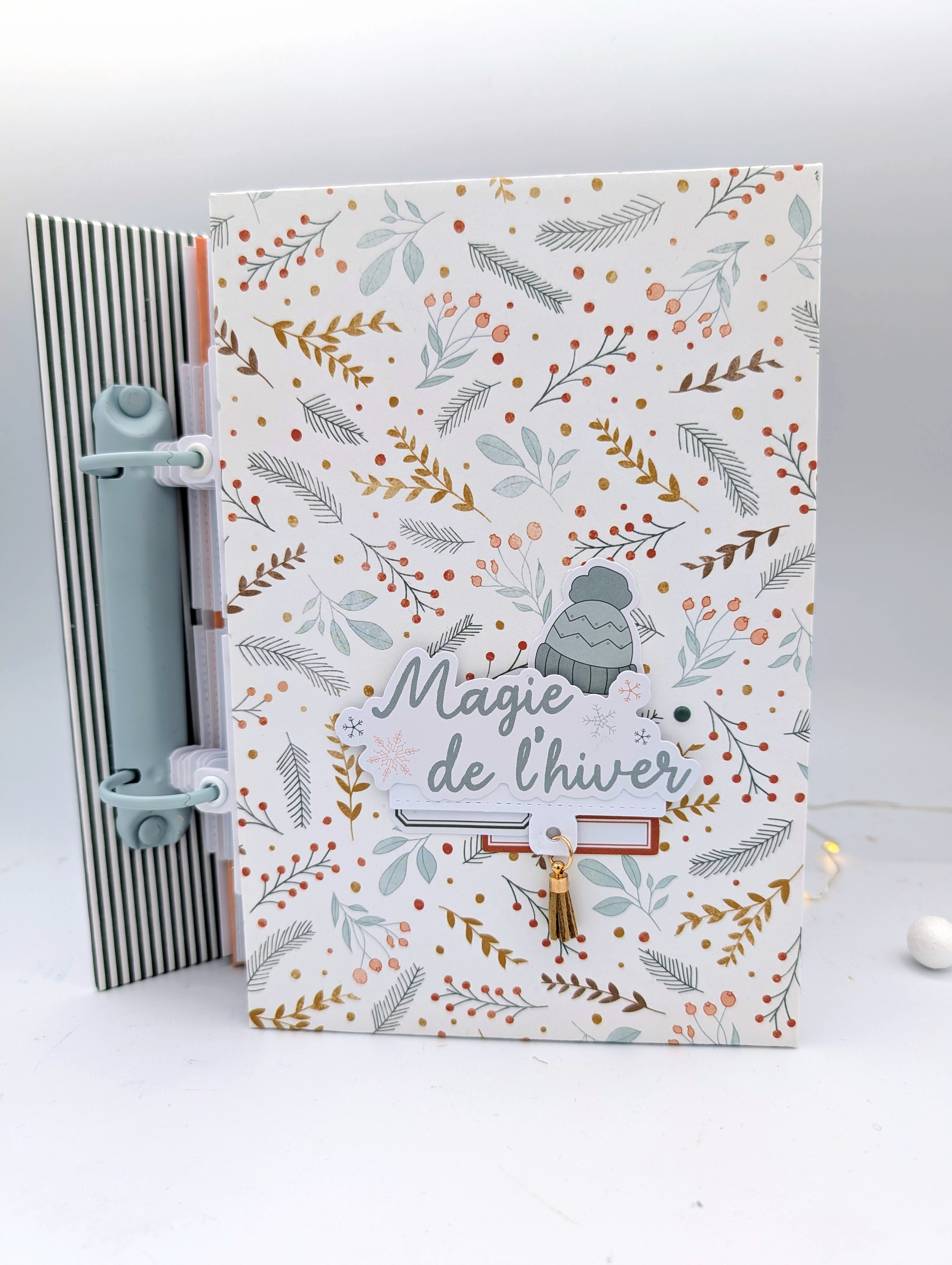 Album Magie de l'hiver