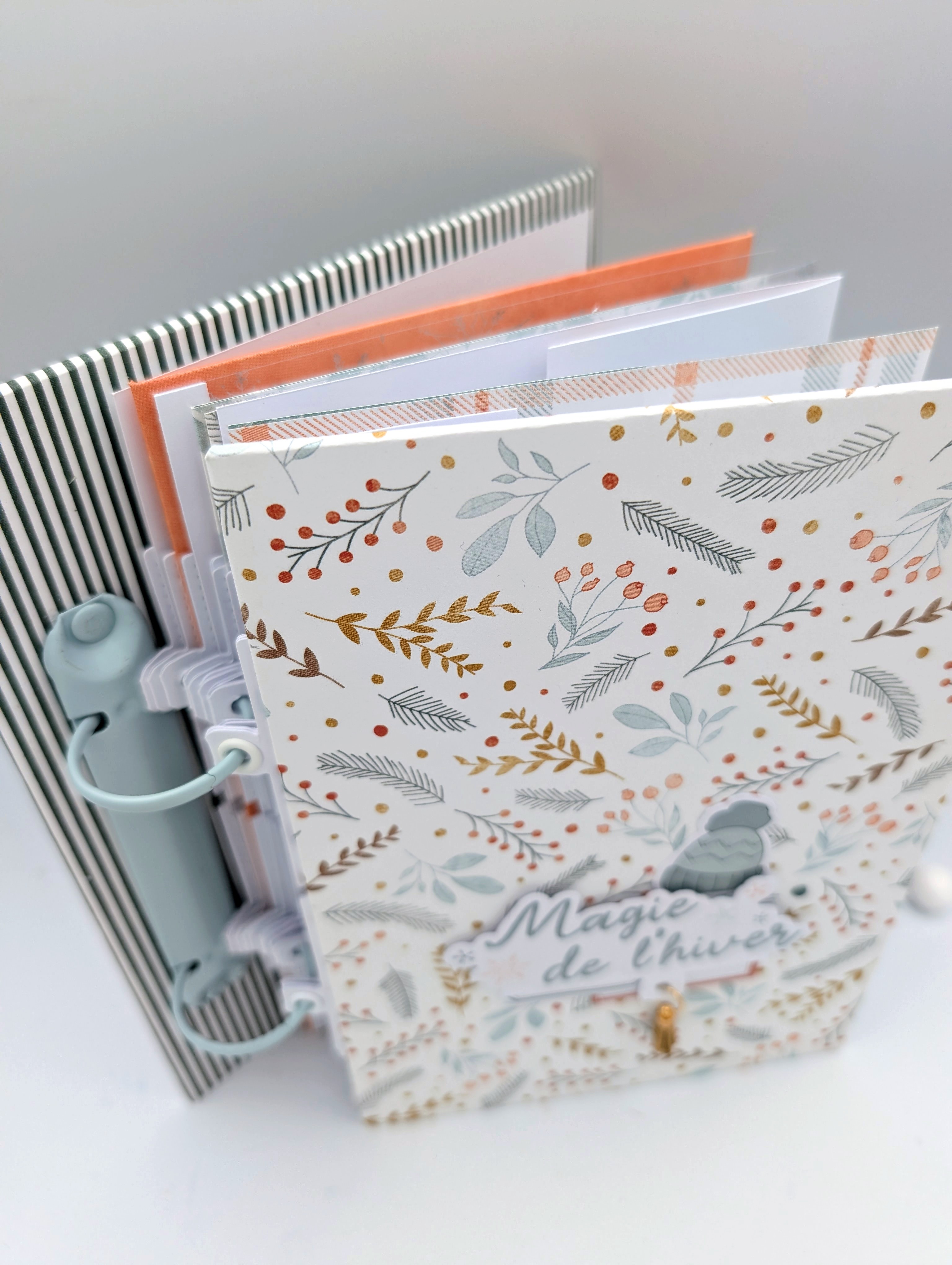 Album Magie de l'hiver