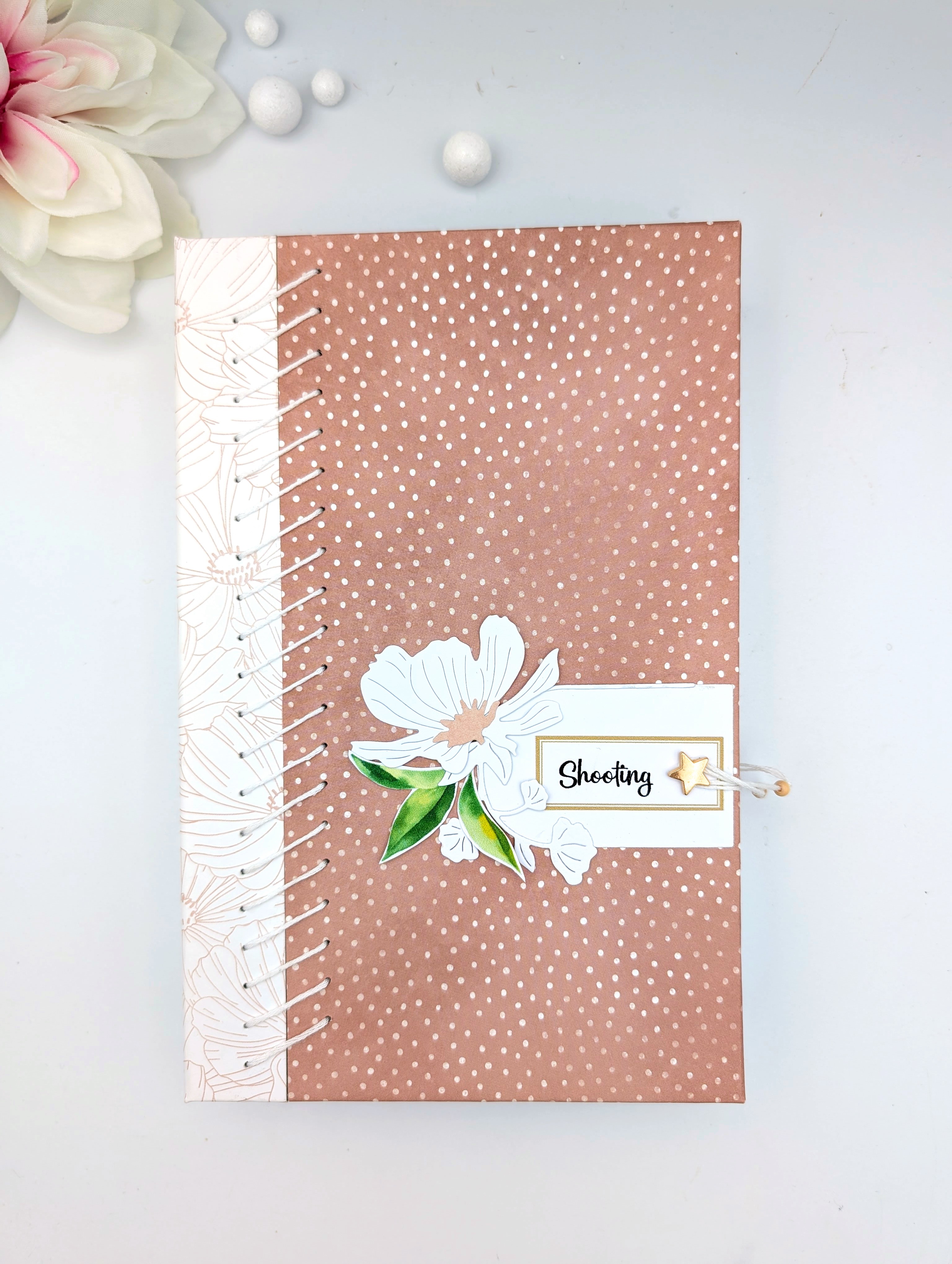 Kit complet Album "Shooting"