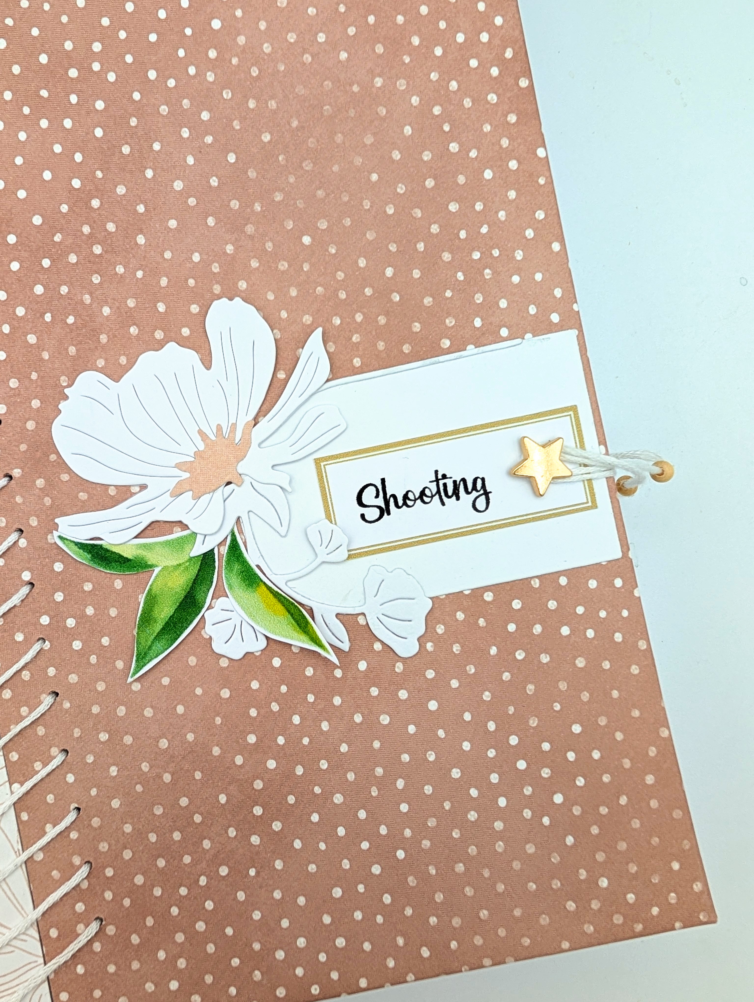 Kit complet Album "Shooting"