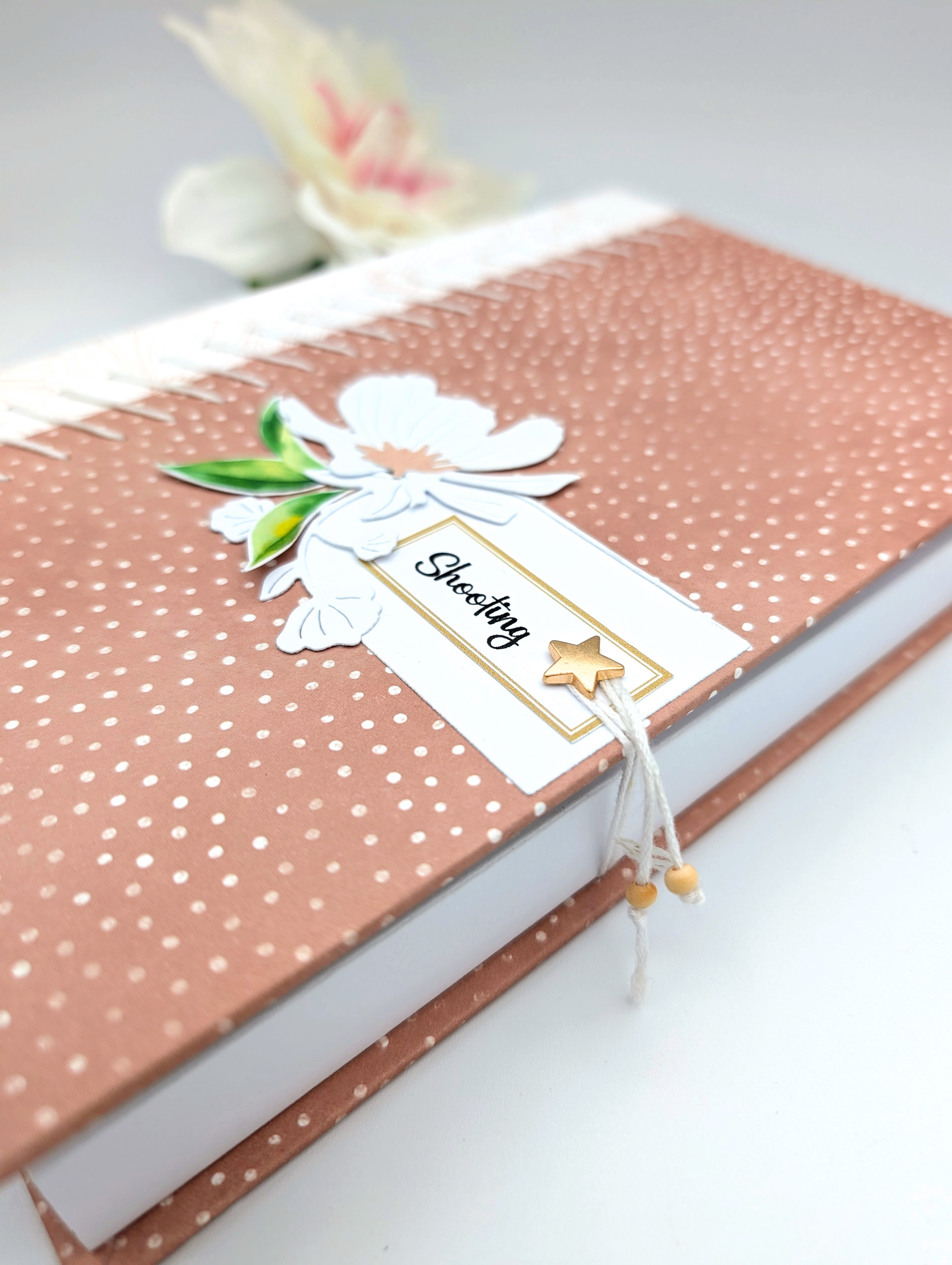 Kit complet Album "Shooting"