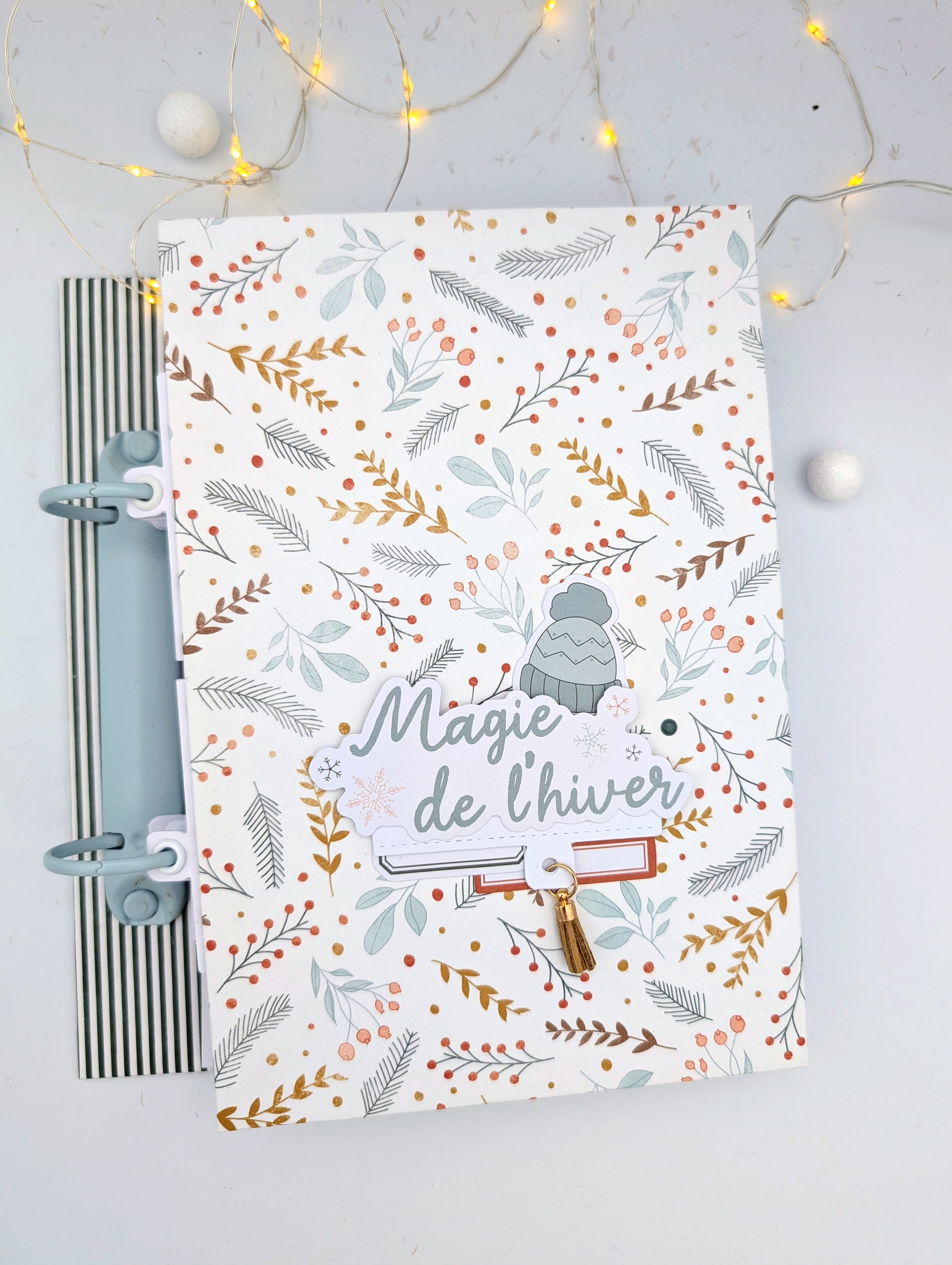 Album Magie de l'hiver