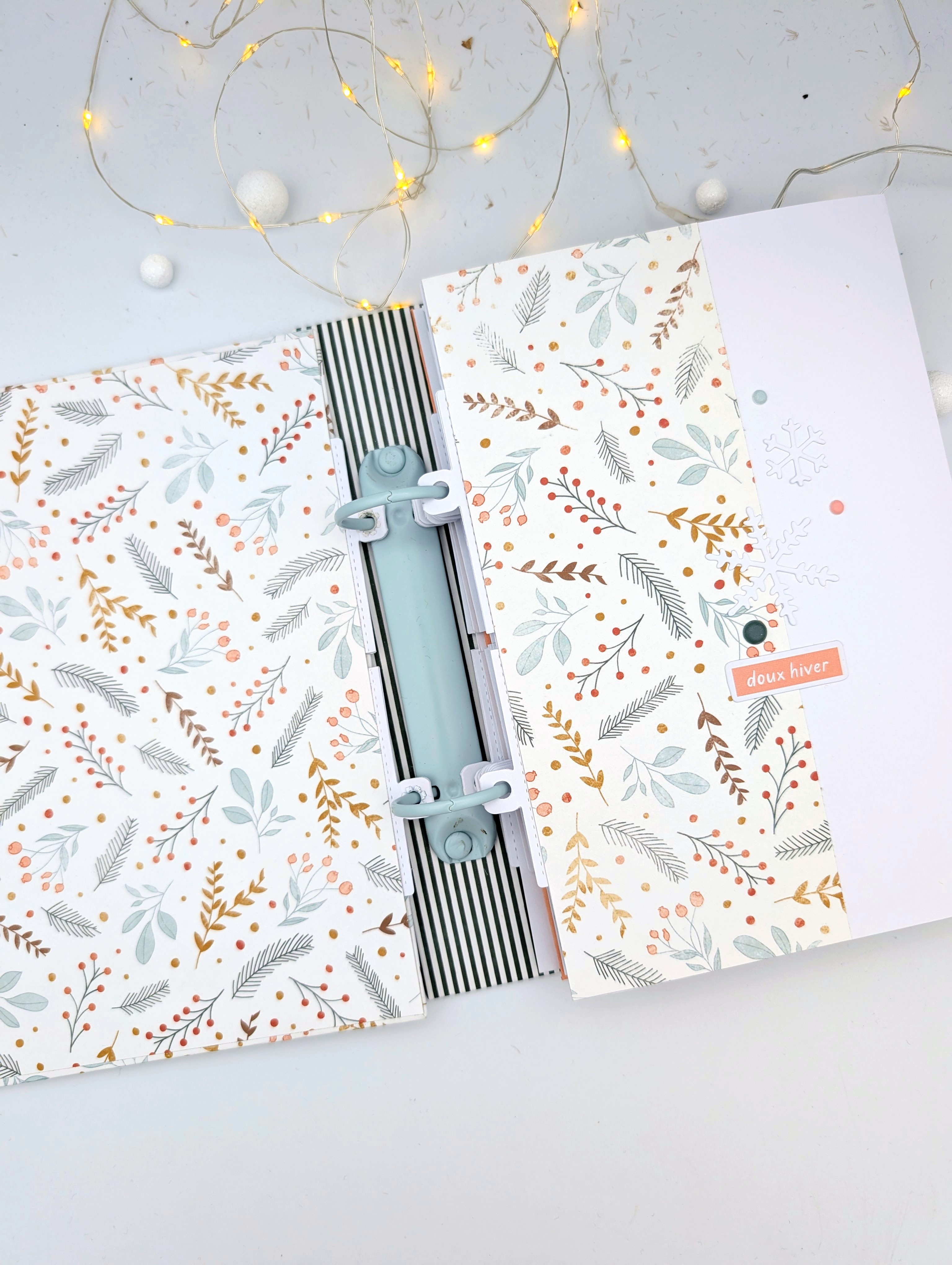 Album Magie de l'hiver