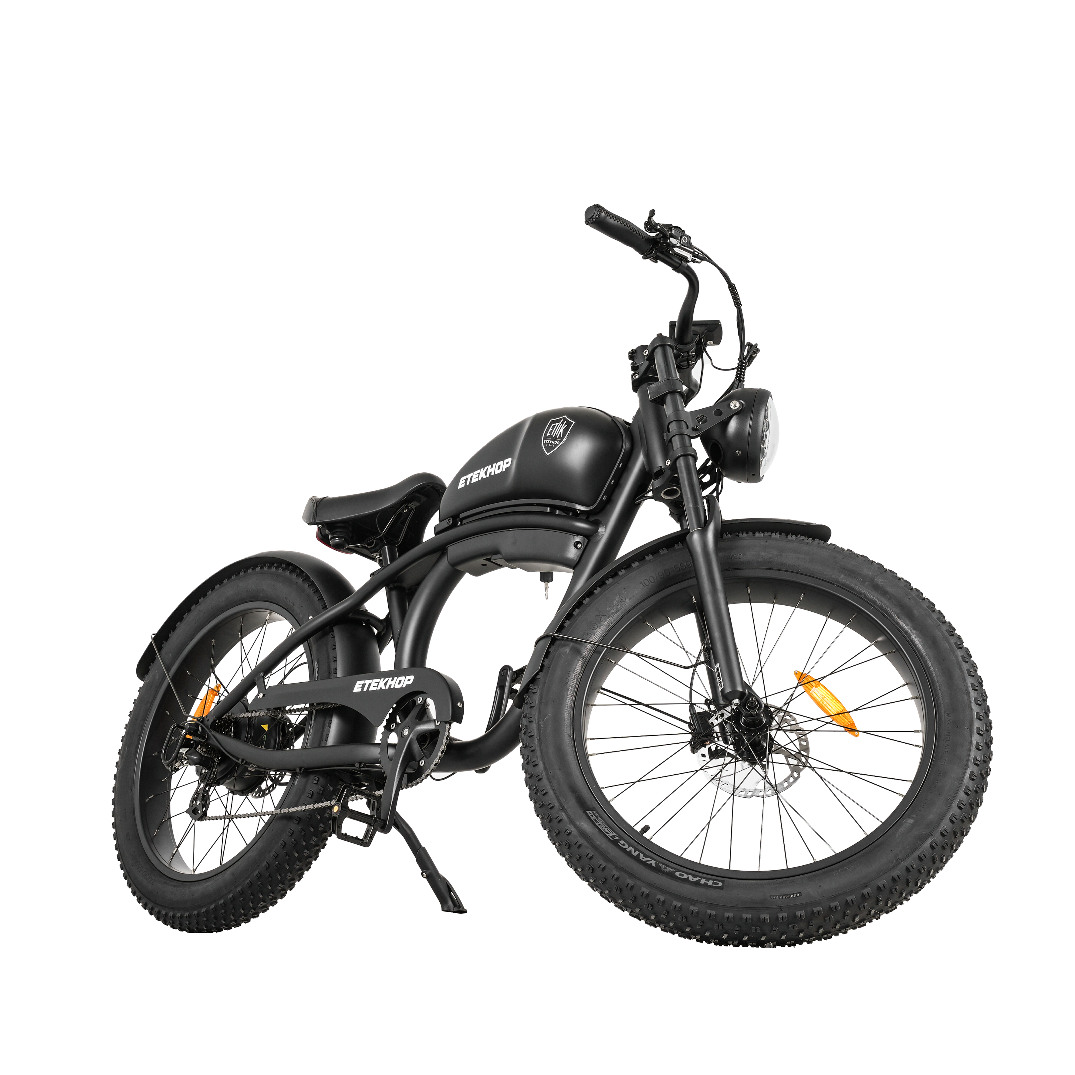 Electric Fat Tire Bike