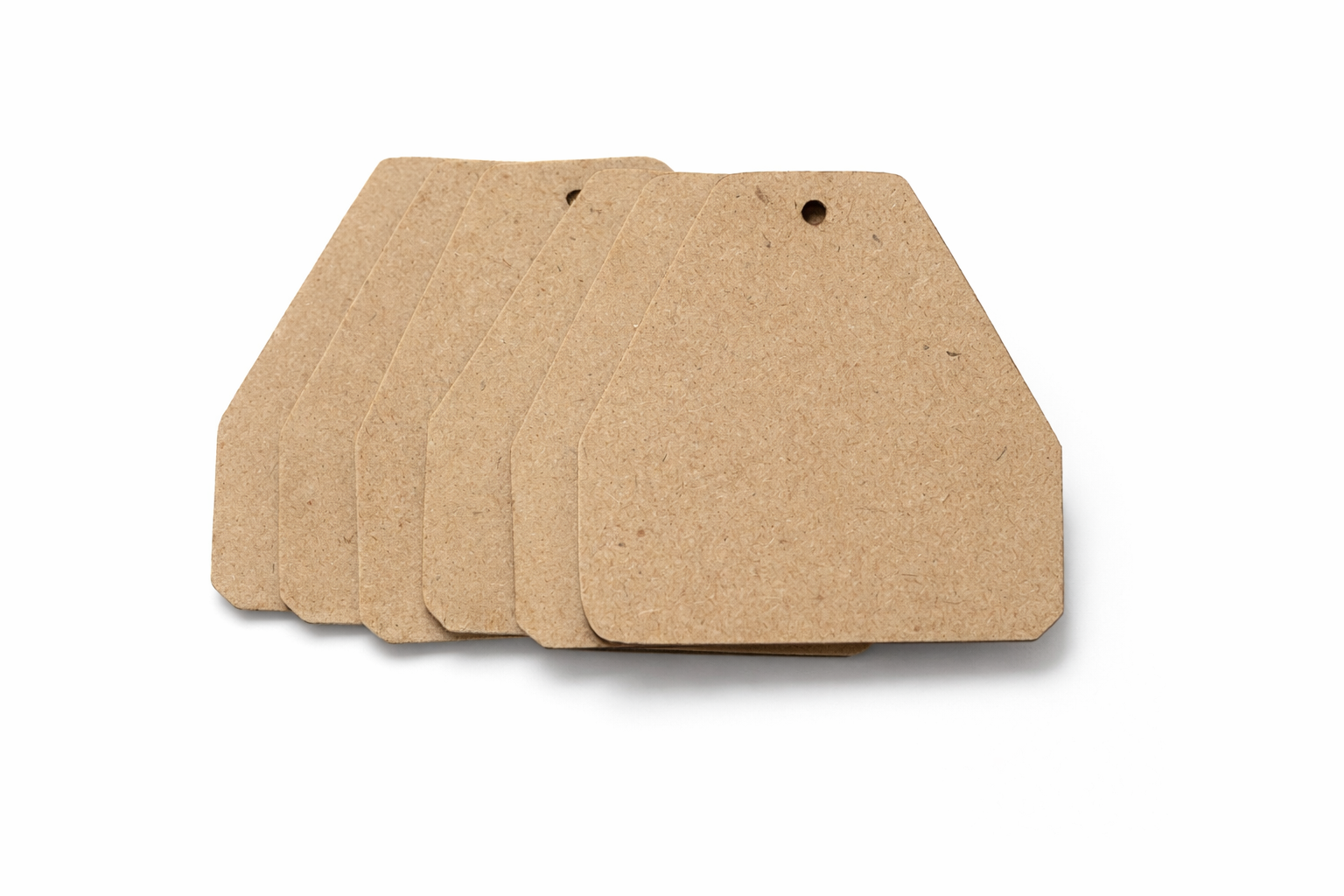 Blank Kraft Paper Tags