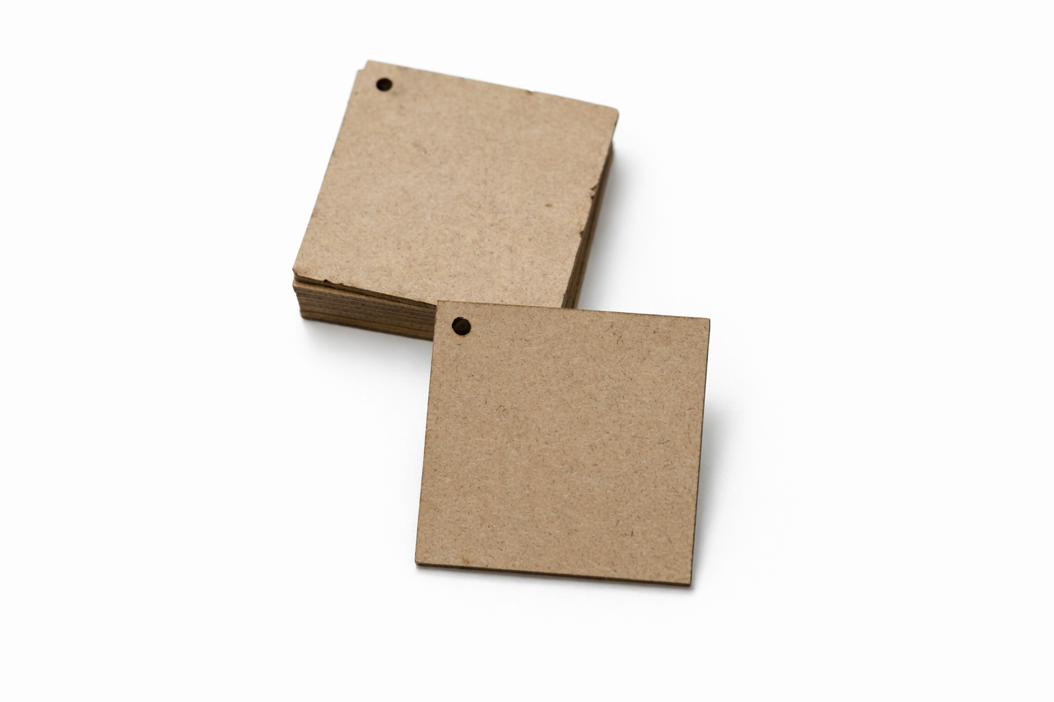 Blank Kraft Paper Tag