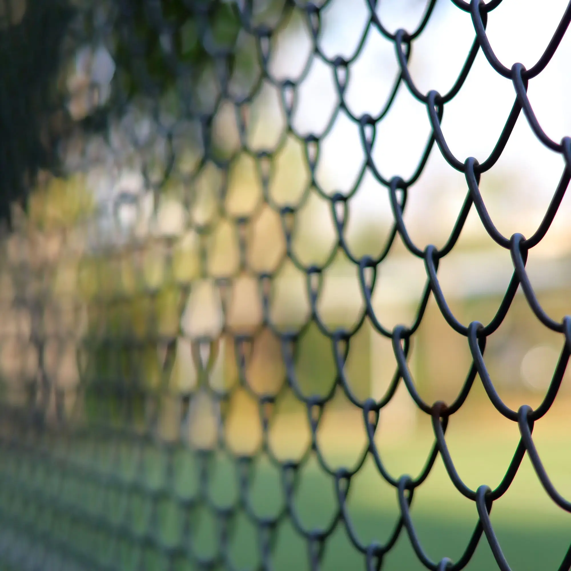 Chain Link Fence