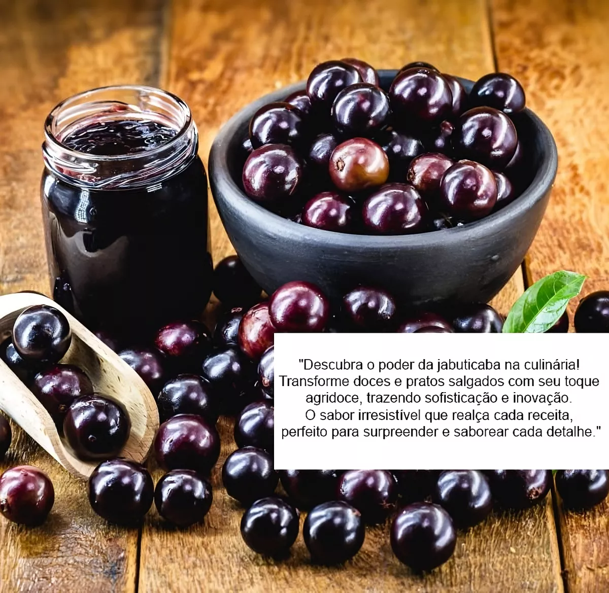 Muda de Jabuticaba Híbrida 