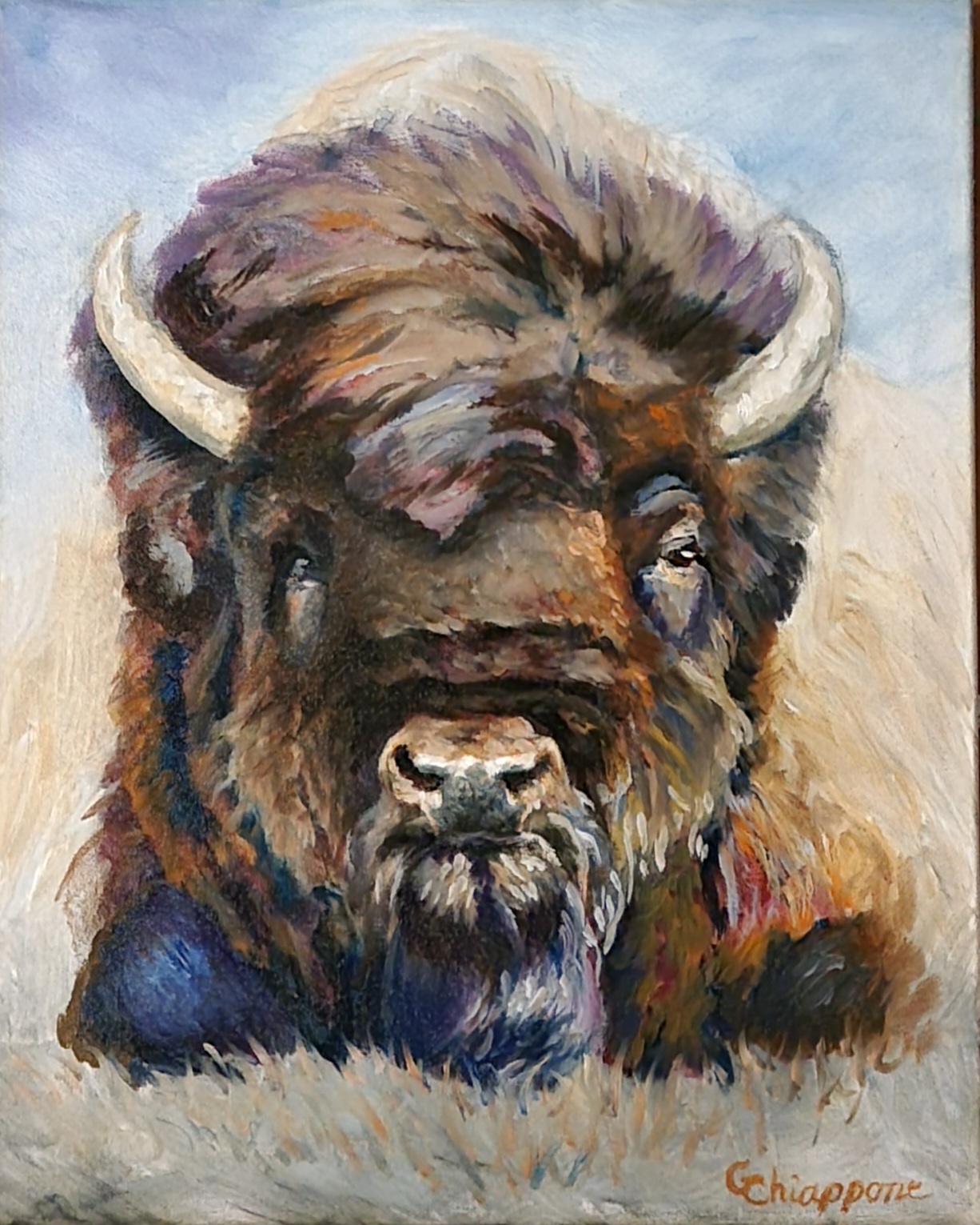 Bison Oil Painting