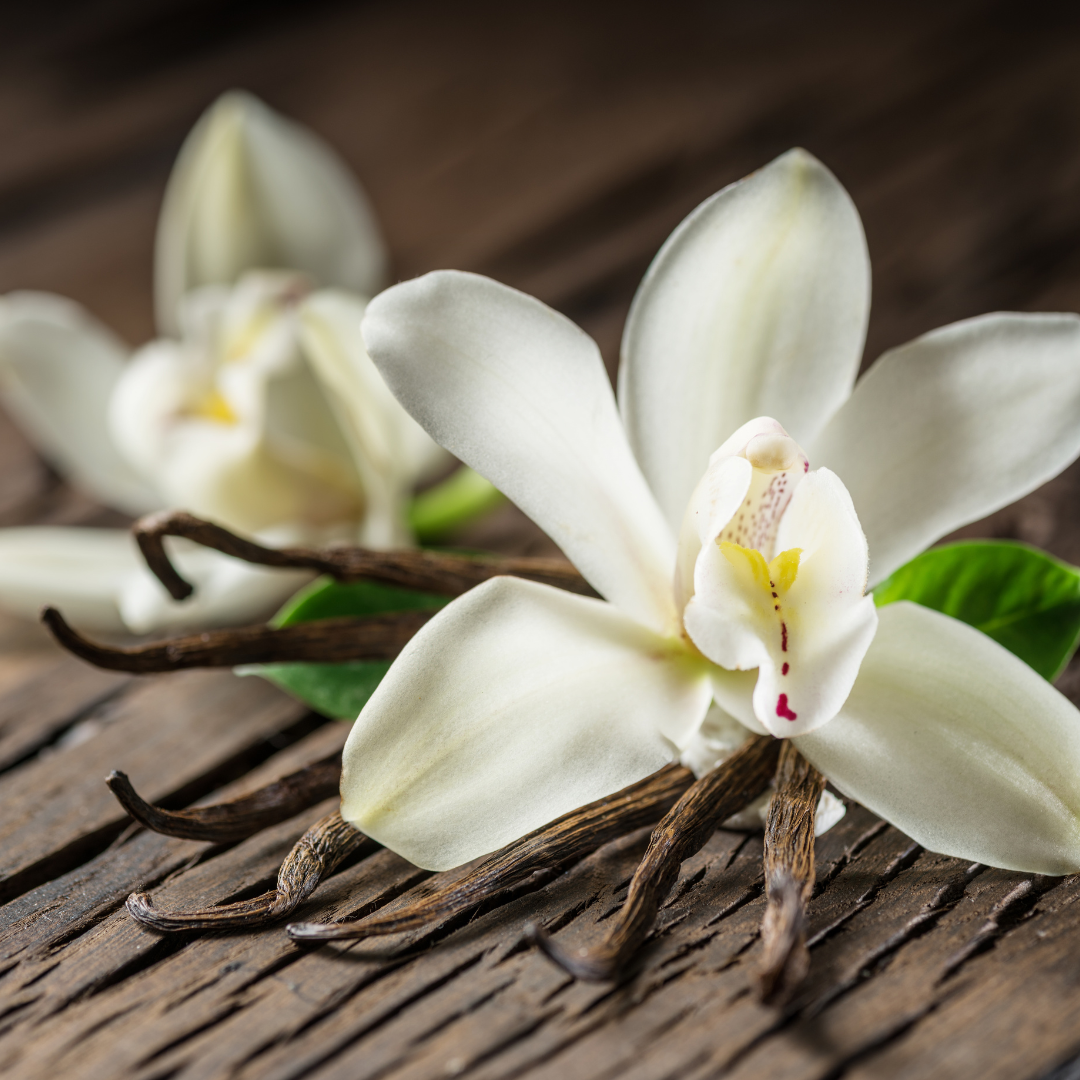 Kanto Vanilla Sugar – Handcrafted with Black Bourbon Vanilla Beans from Madagascar