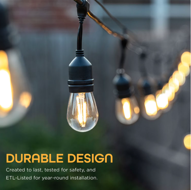 Outdoor LED EcoScapes by Enbrighten 48' Outdoor LED Café String Lights, 24 BulbsCafé String Lights