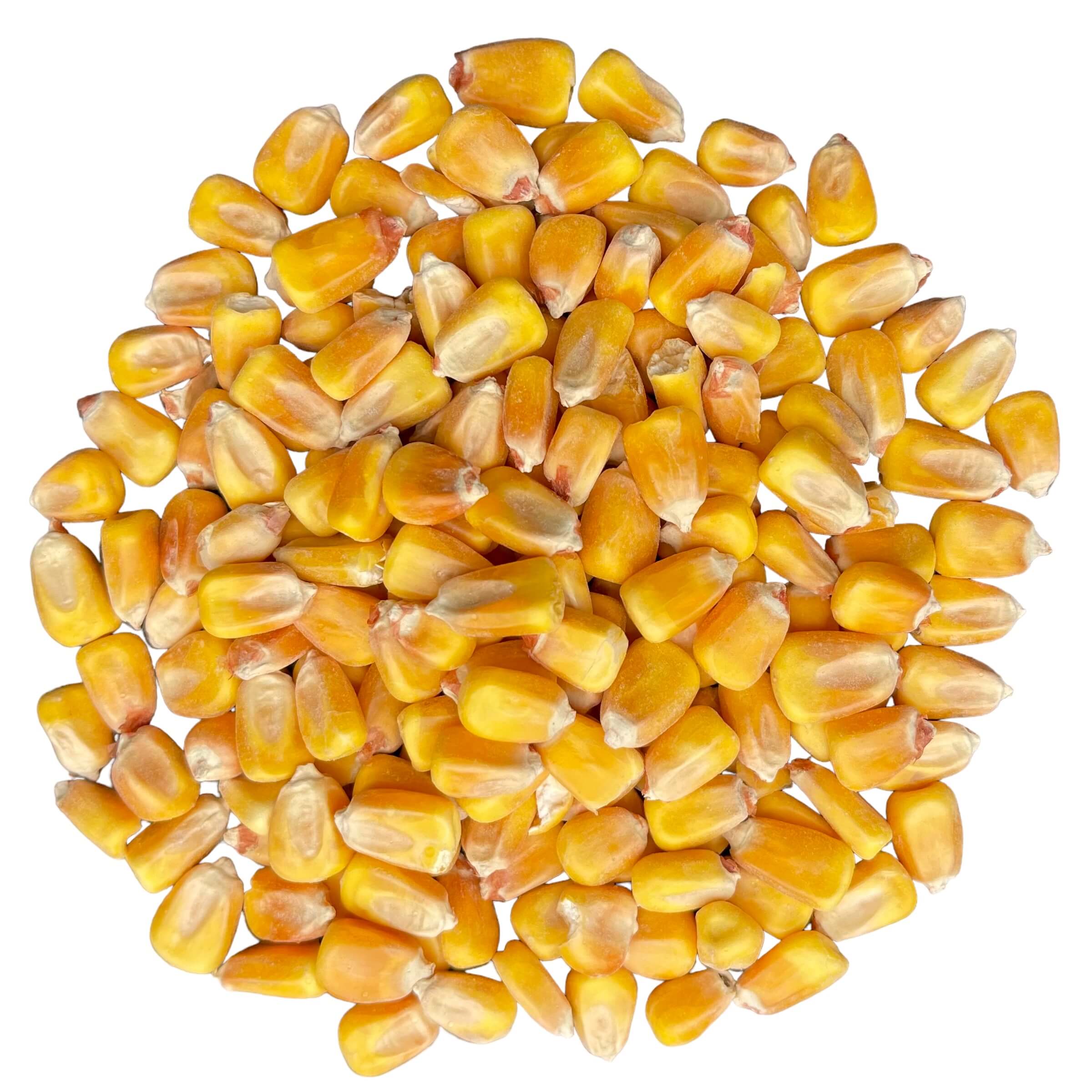 Sharpes or Supa Feeds whole Maize