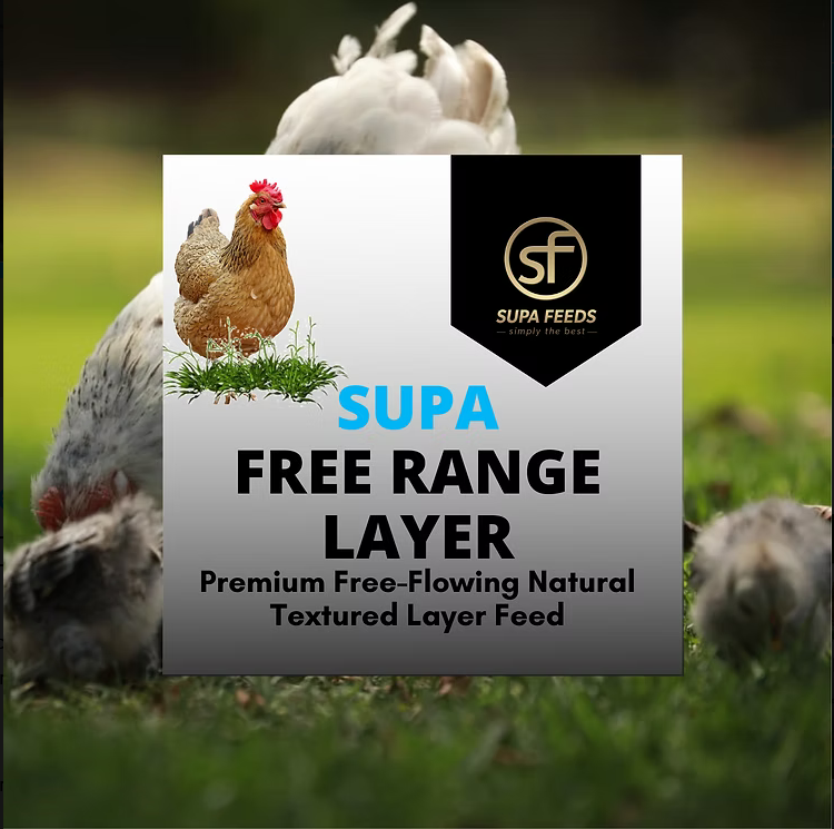 Supa Feeds Free Range Layer