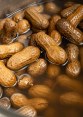 Boil'd Peanutz- Hotz