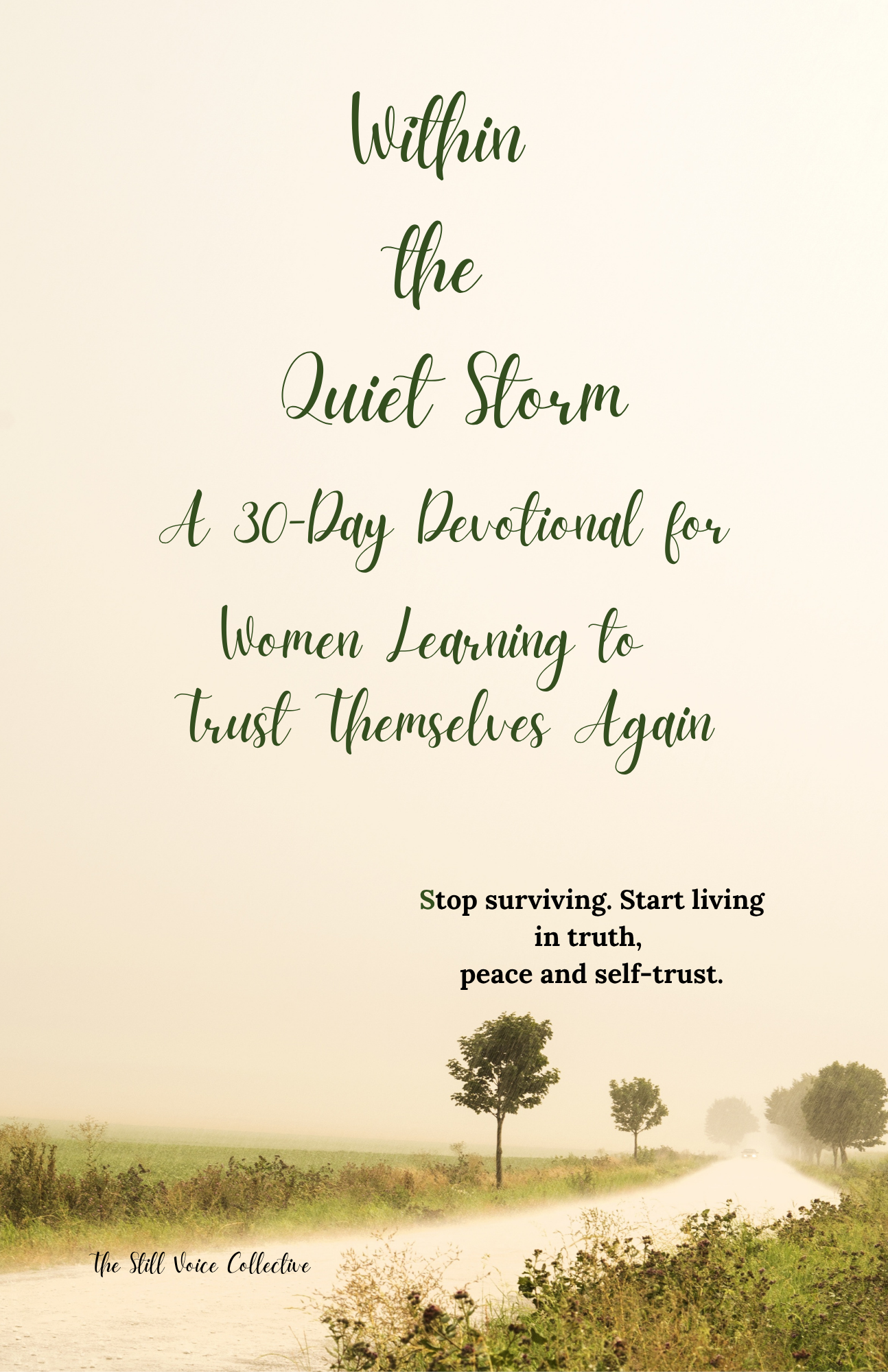 Within the Quiet Storm