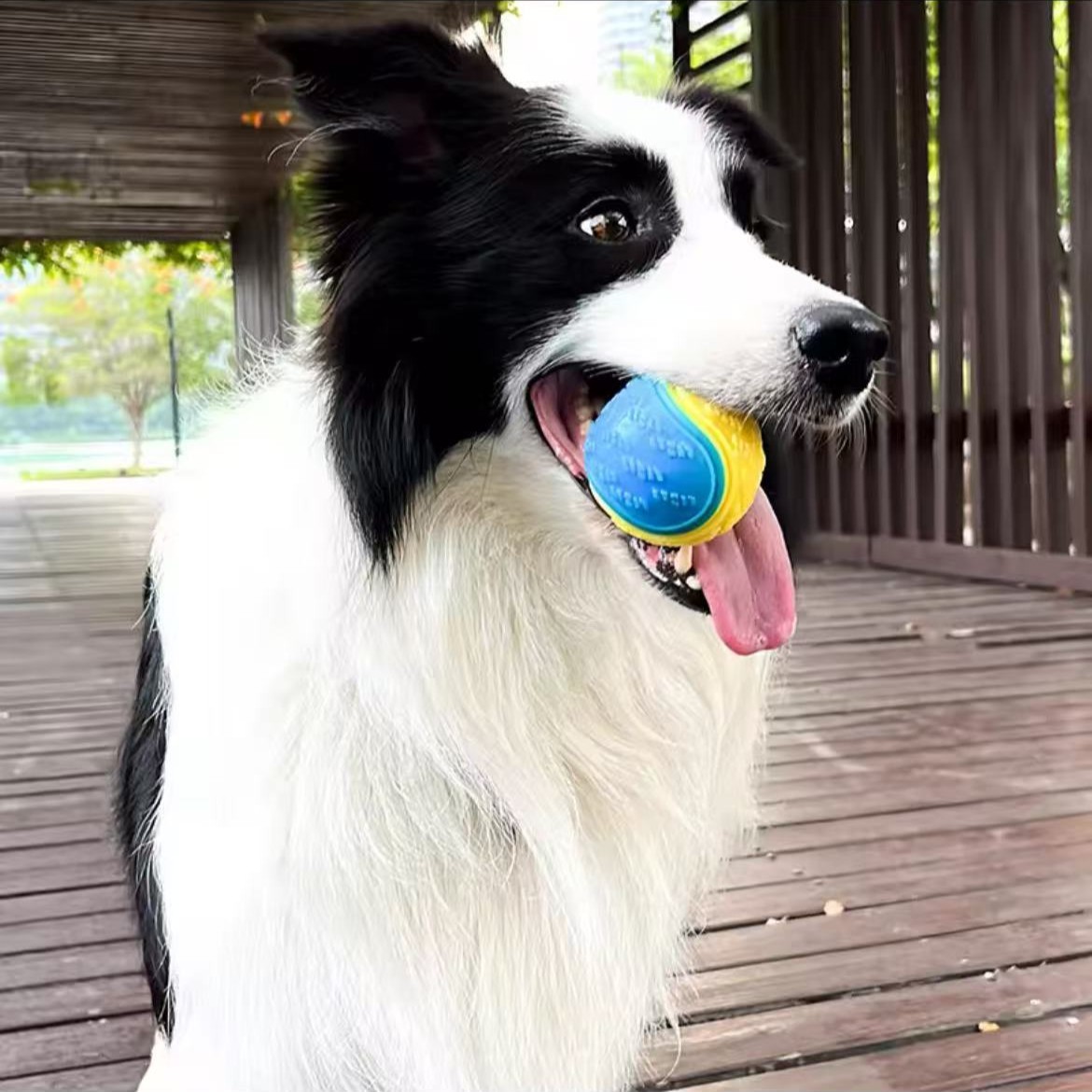 Interactive Rubber Dog Ball
