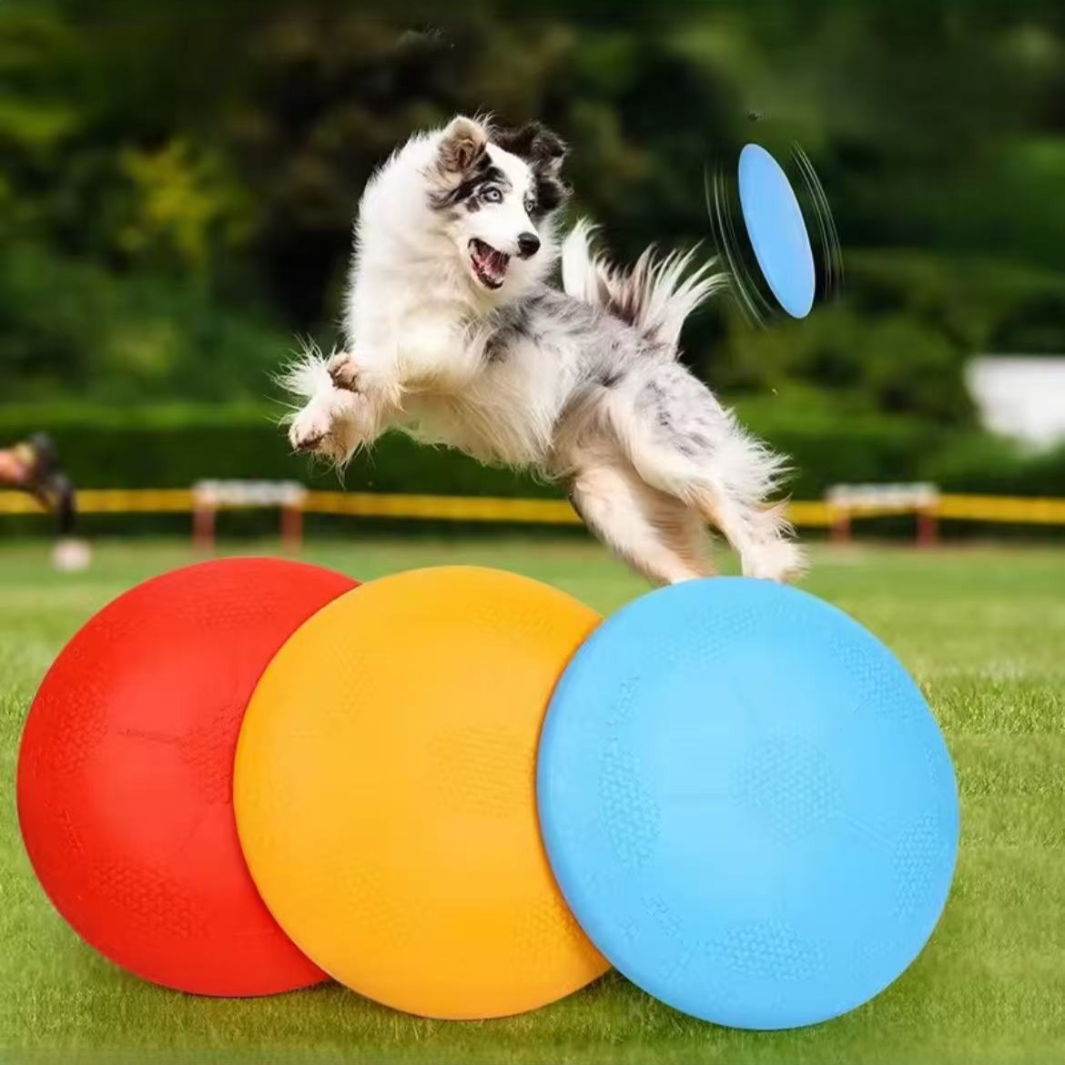 Dog Flying Disc Set