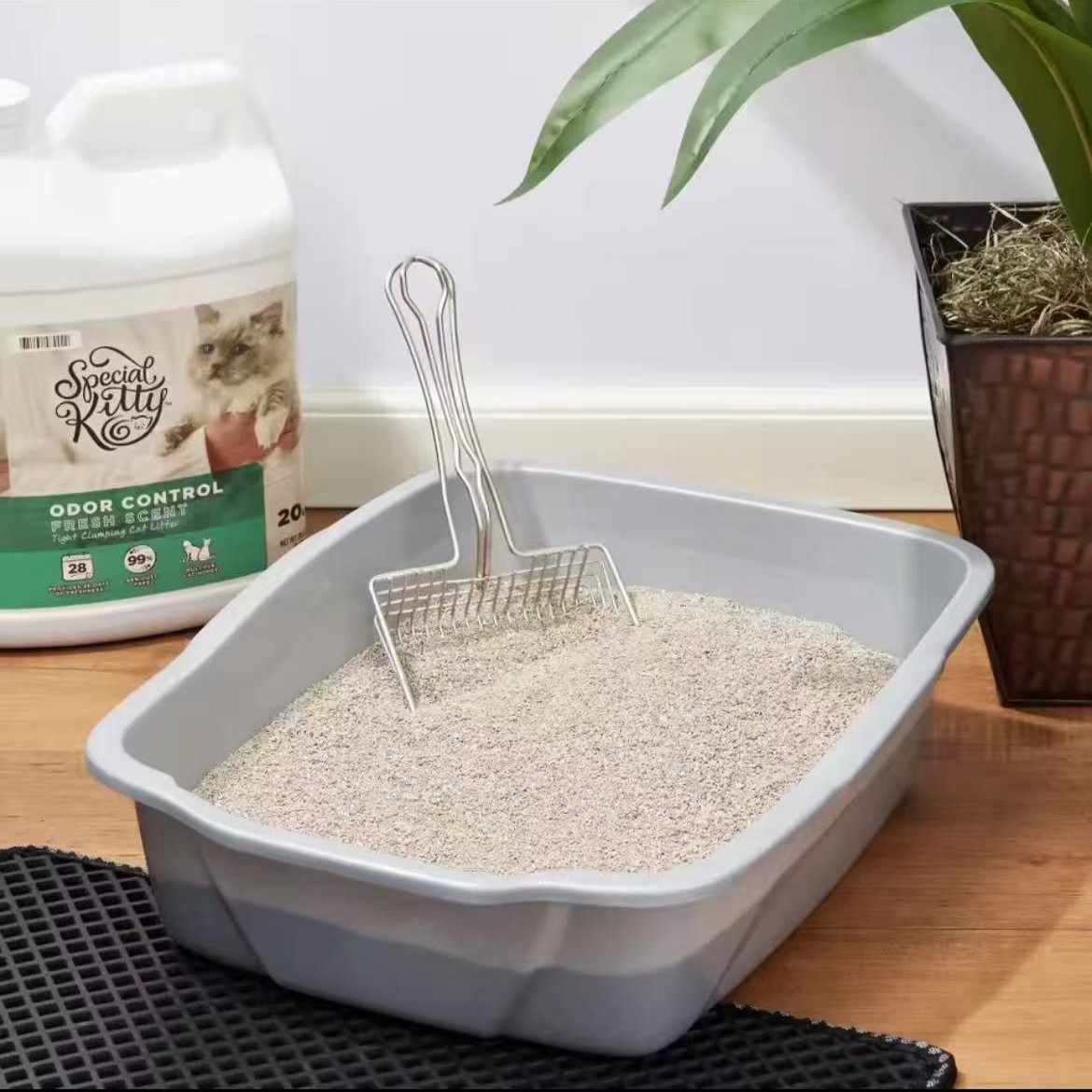 Odor Control Cat Litter - 2 Pack